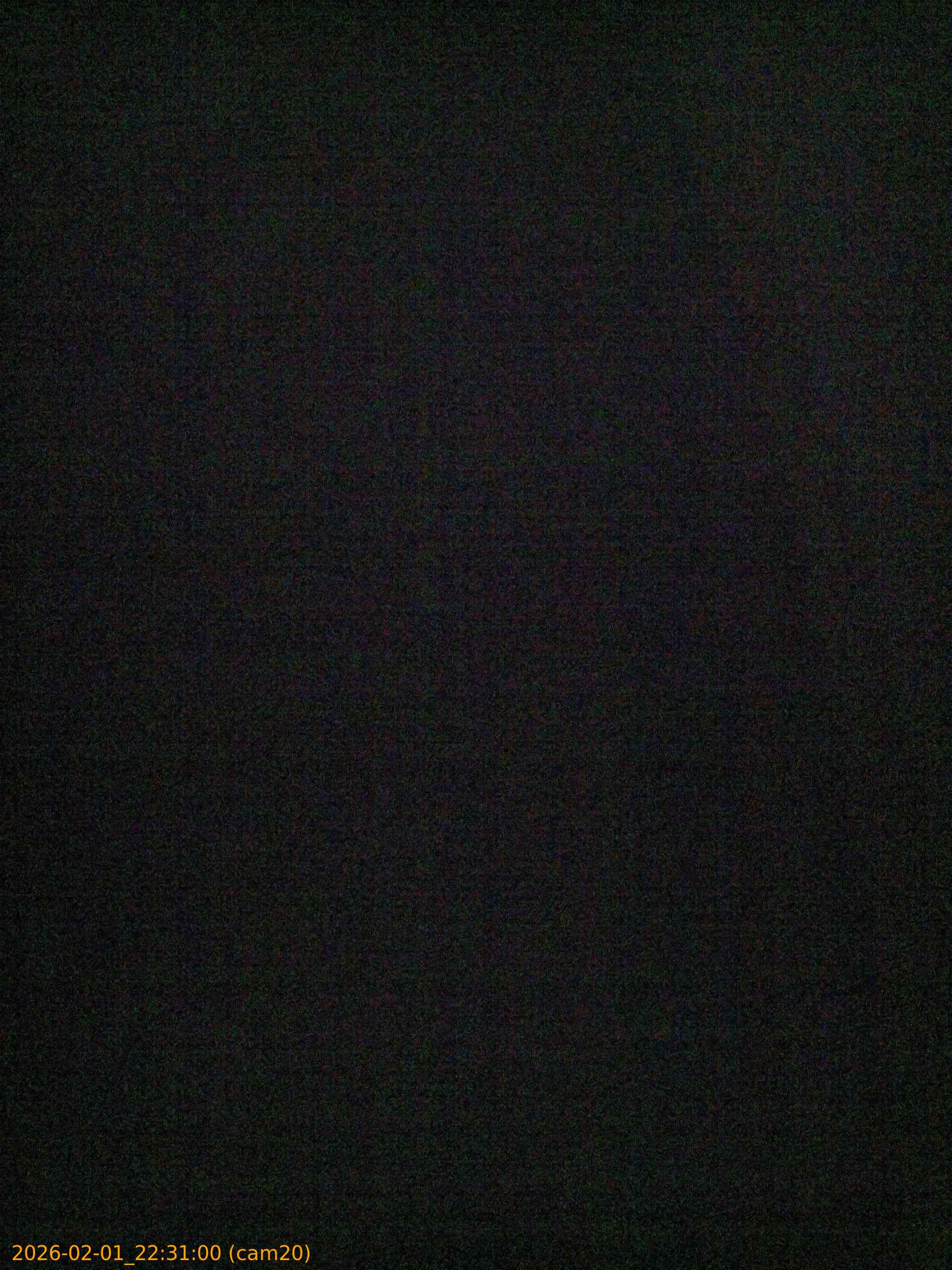 thumbnail_20260201223100