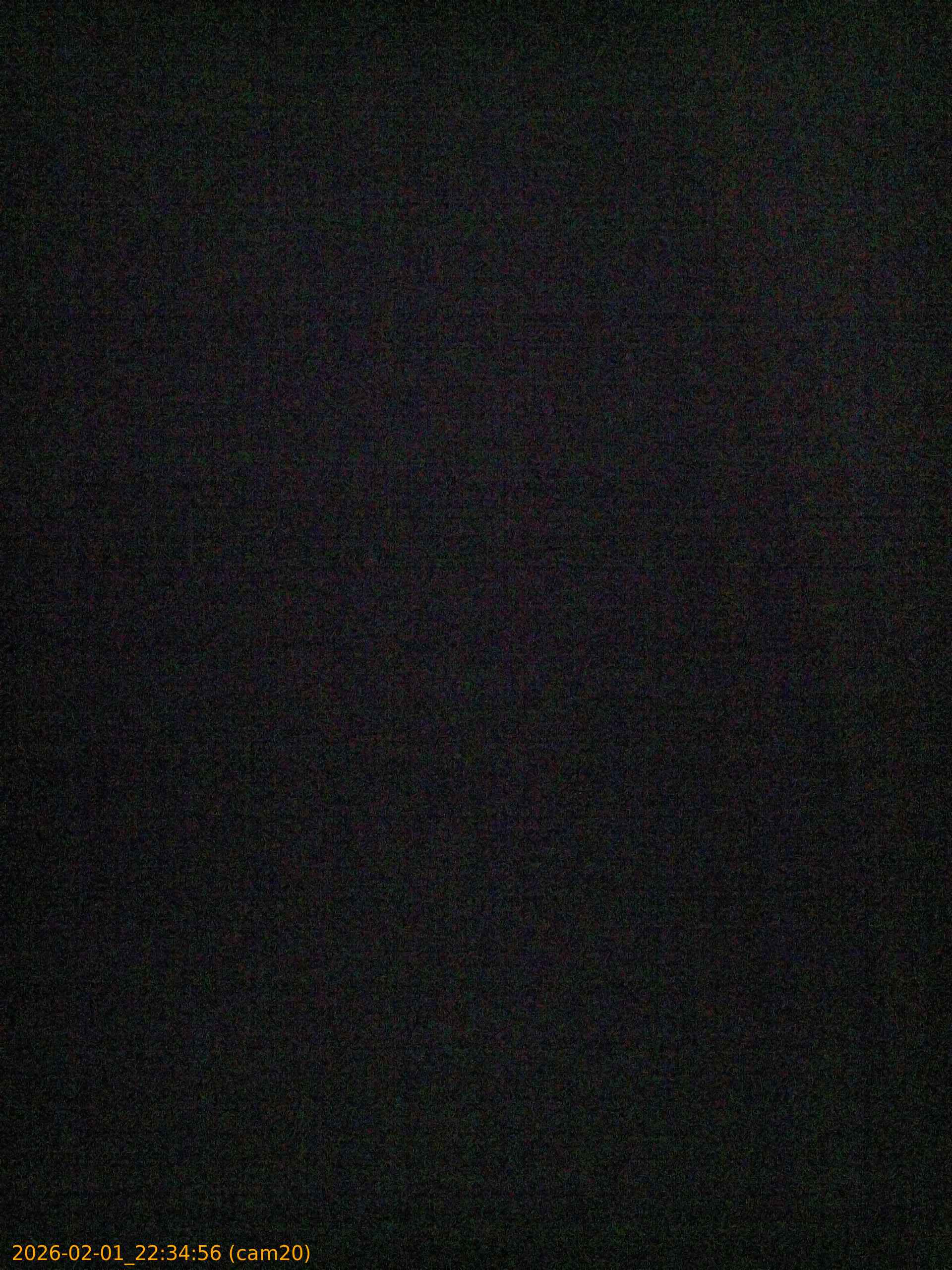 thumbnail_20260201223456