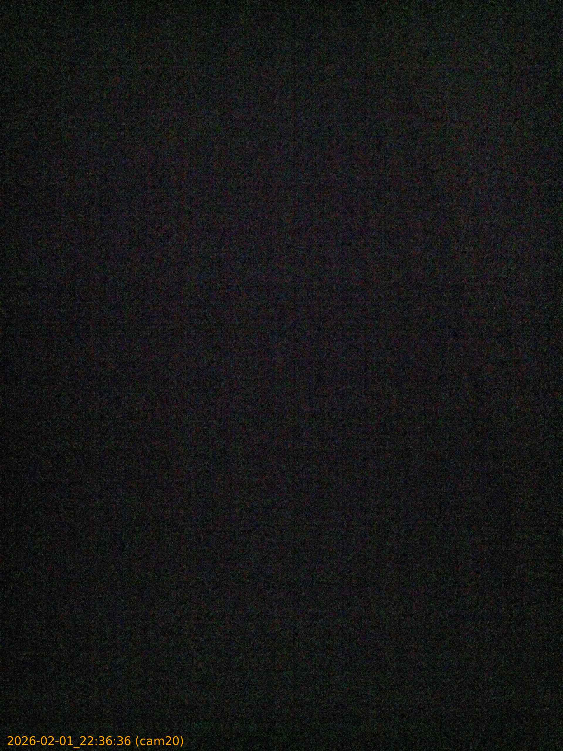 20260201223636