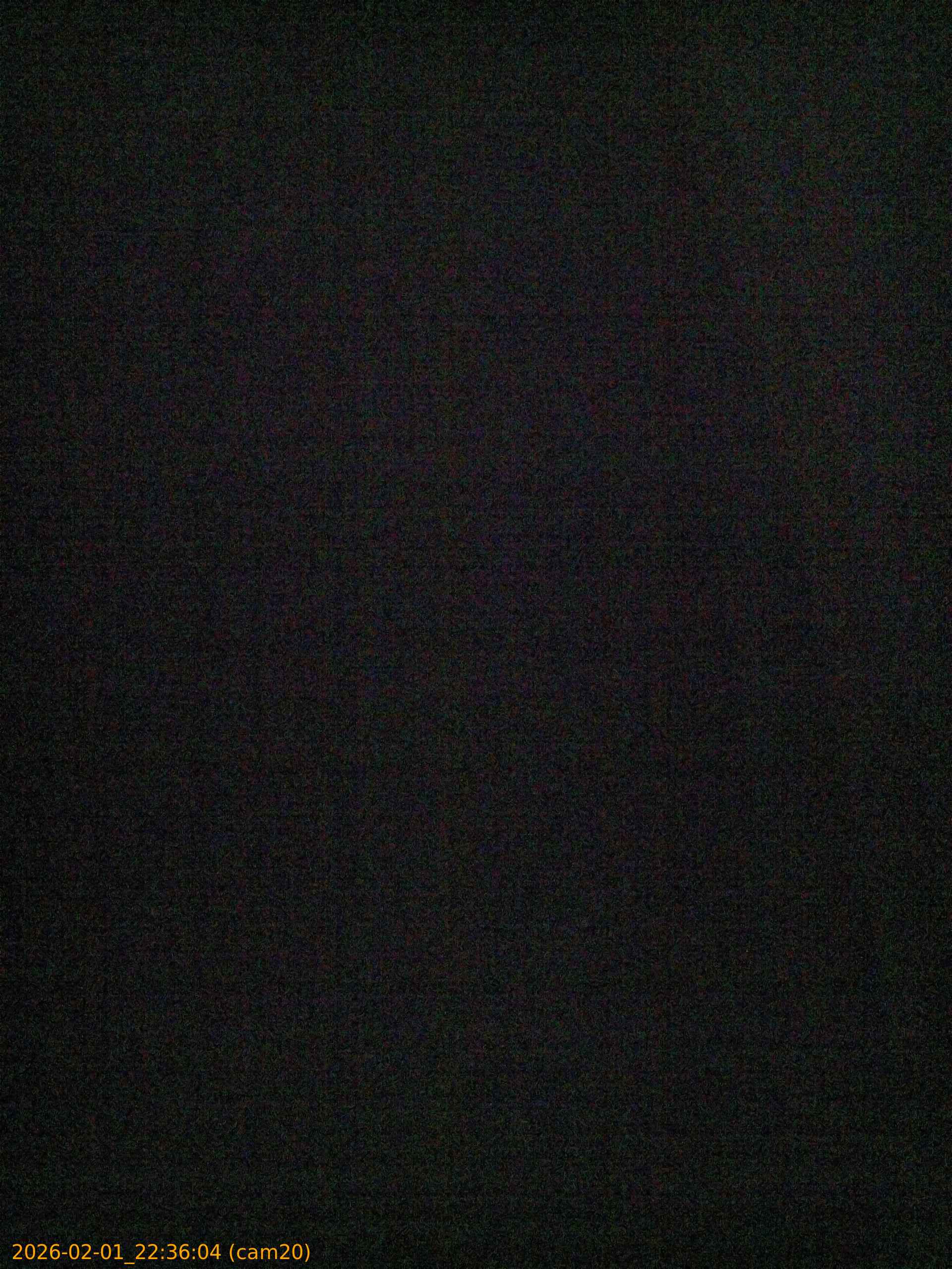 thumbnail_20260201223604