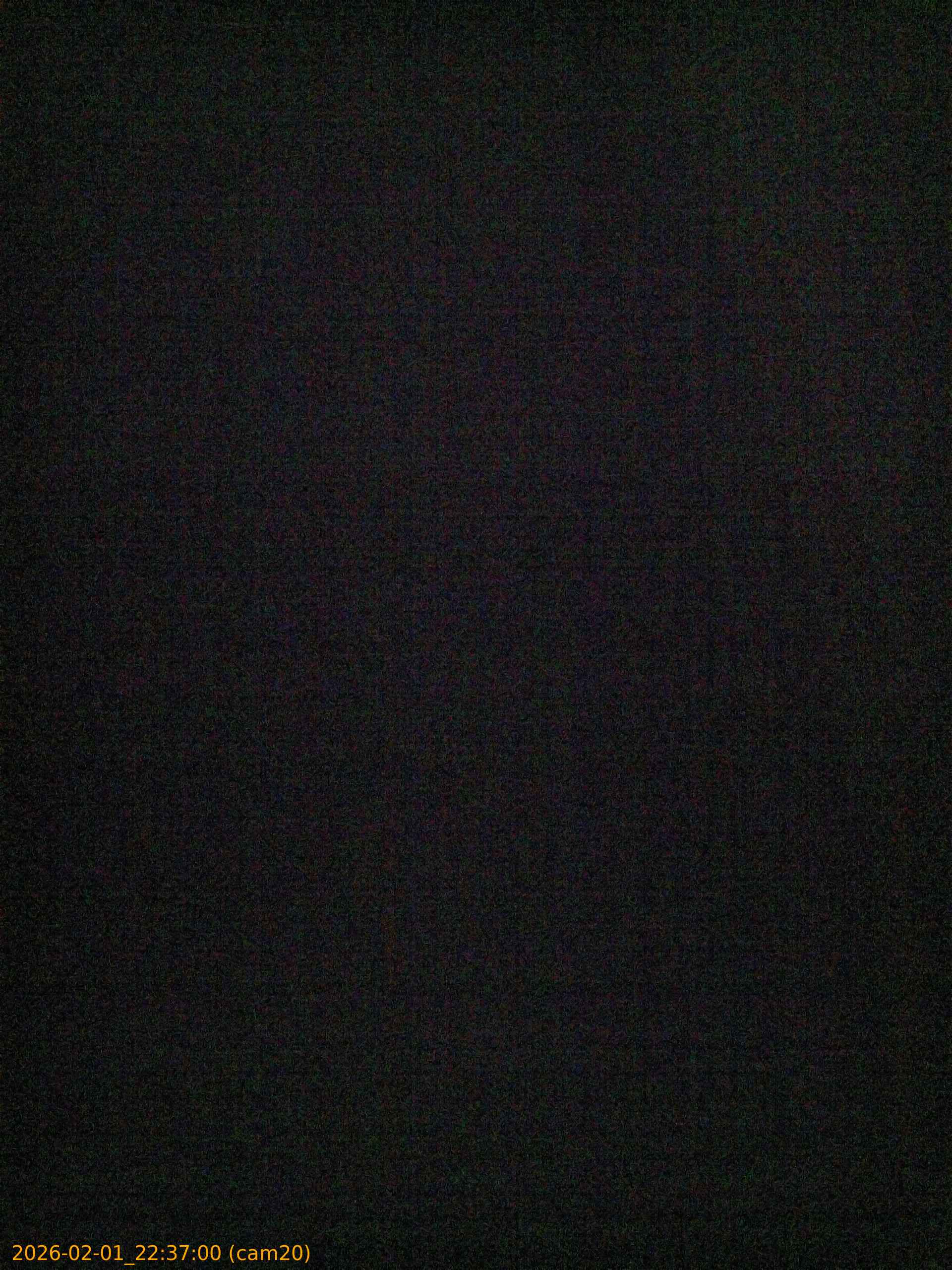 thumbnail_20260201223700