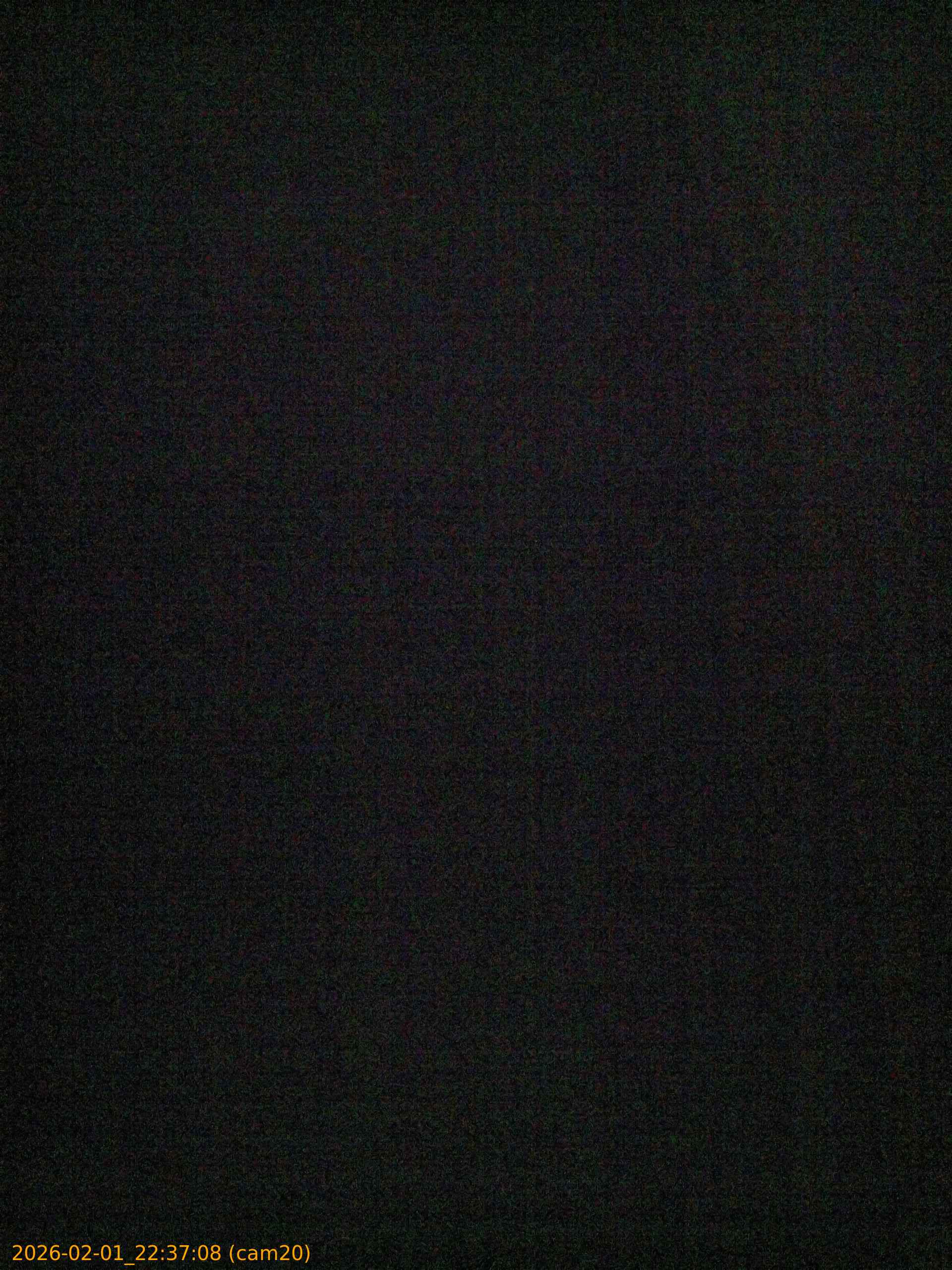 thumbnail_20260201223708