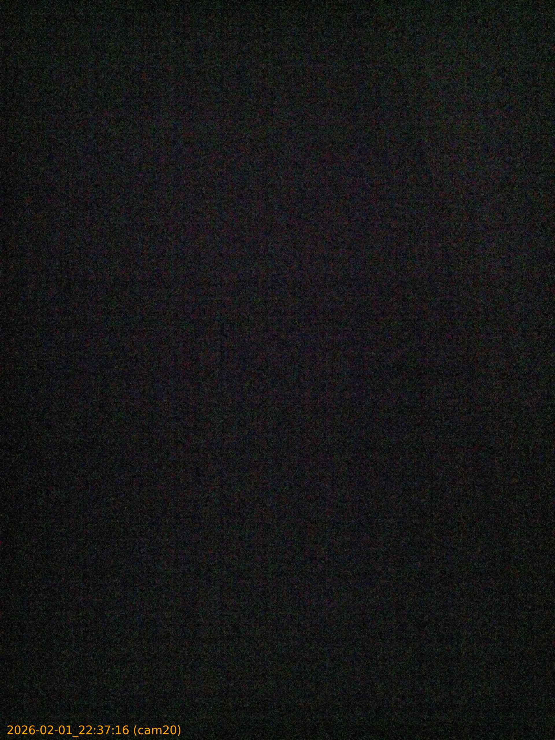 thumbnail_20260201223716