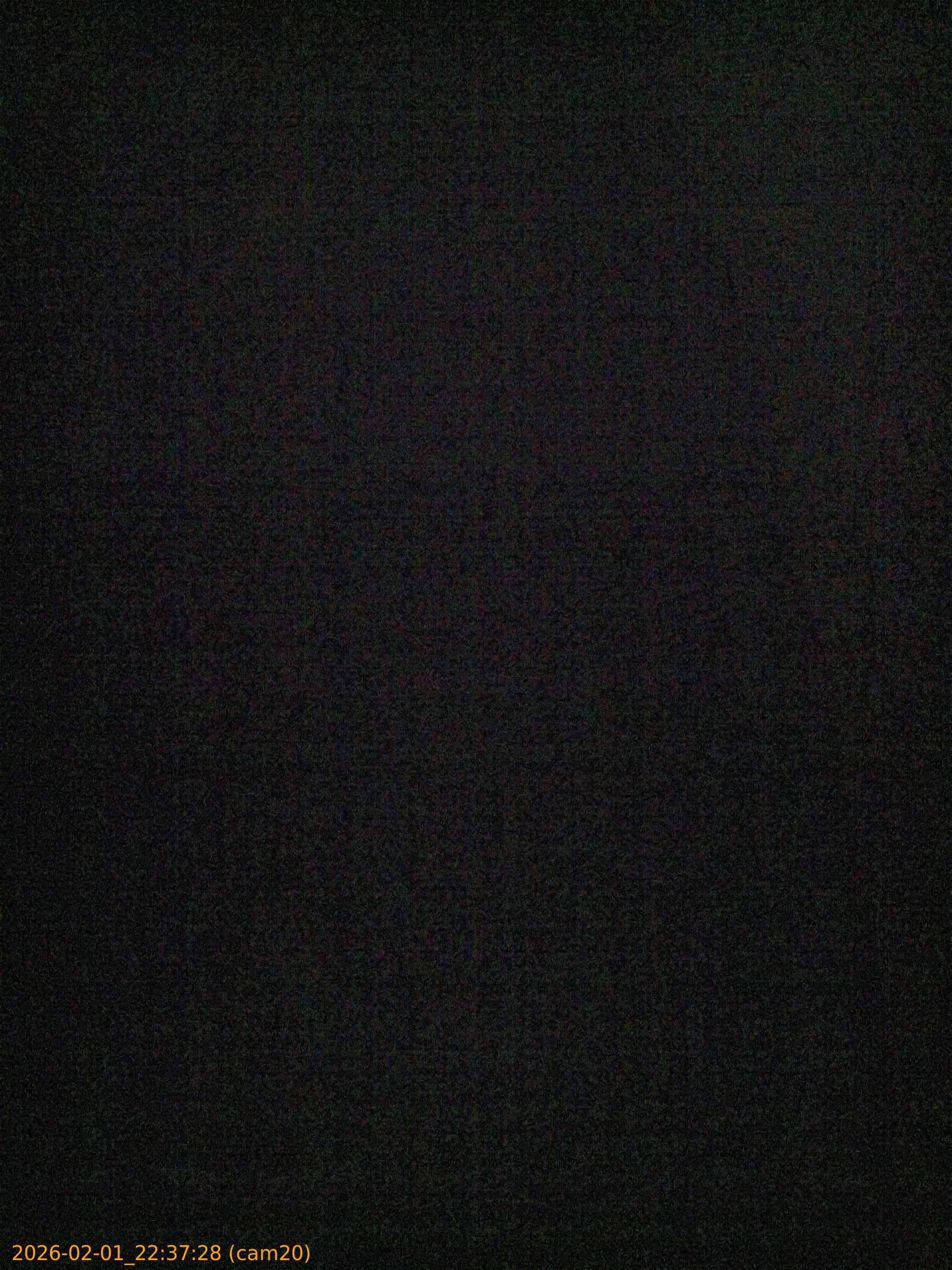 thumbnail_20260201223728