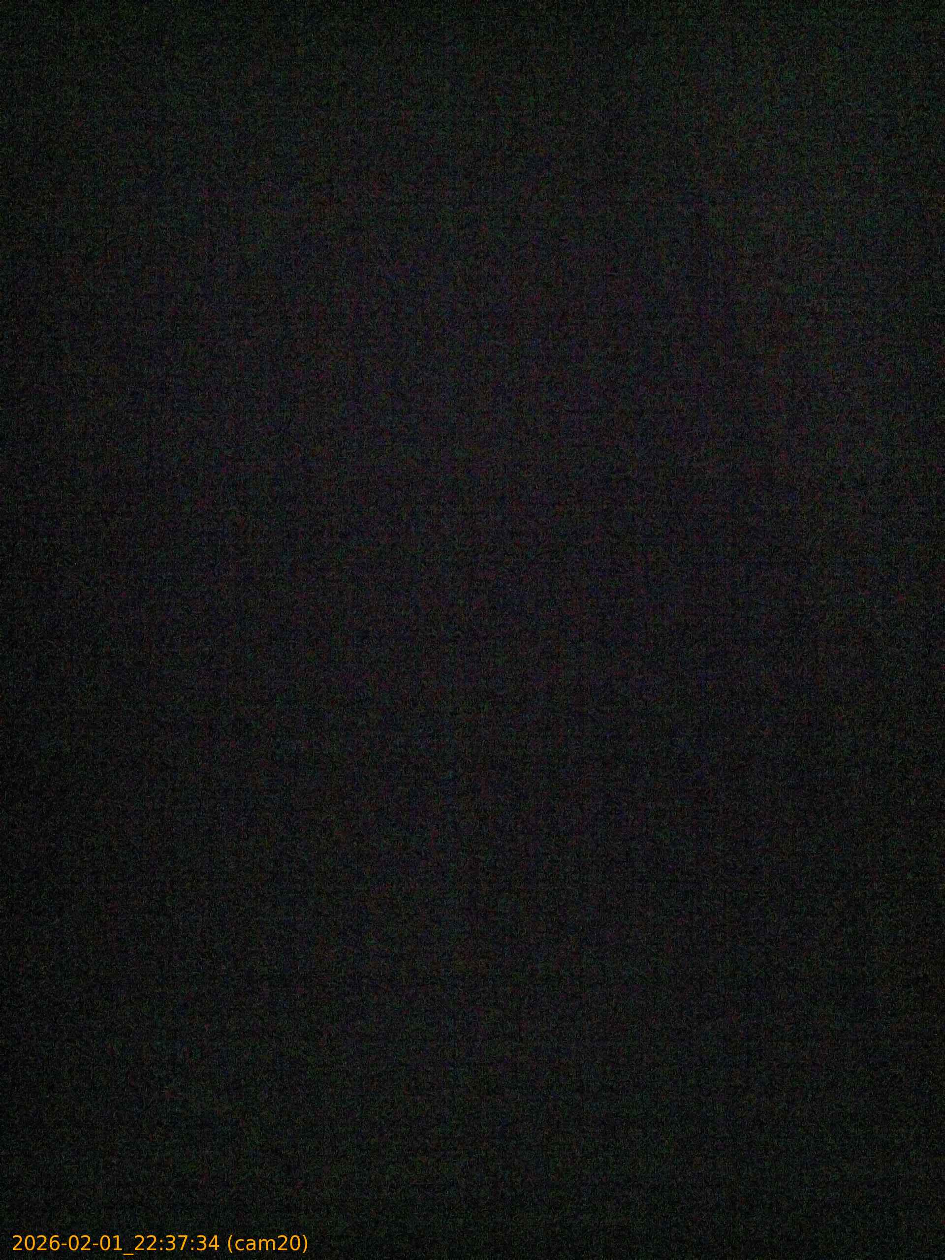 thumbnail_20260201223734