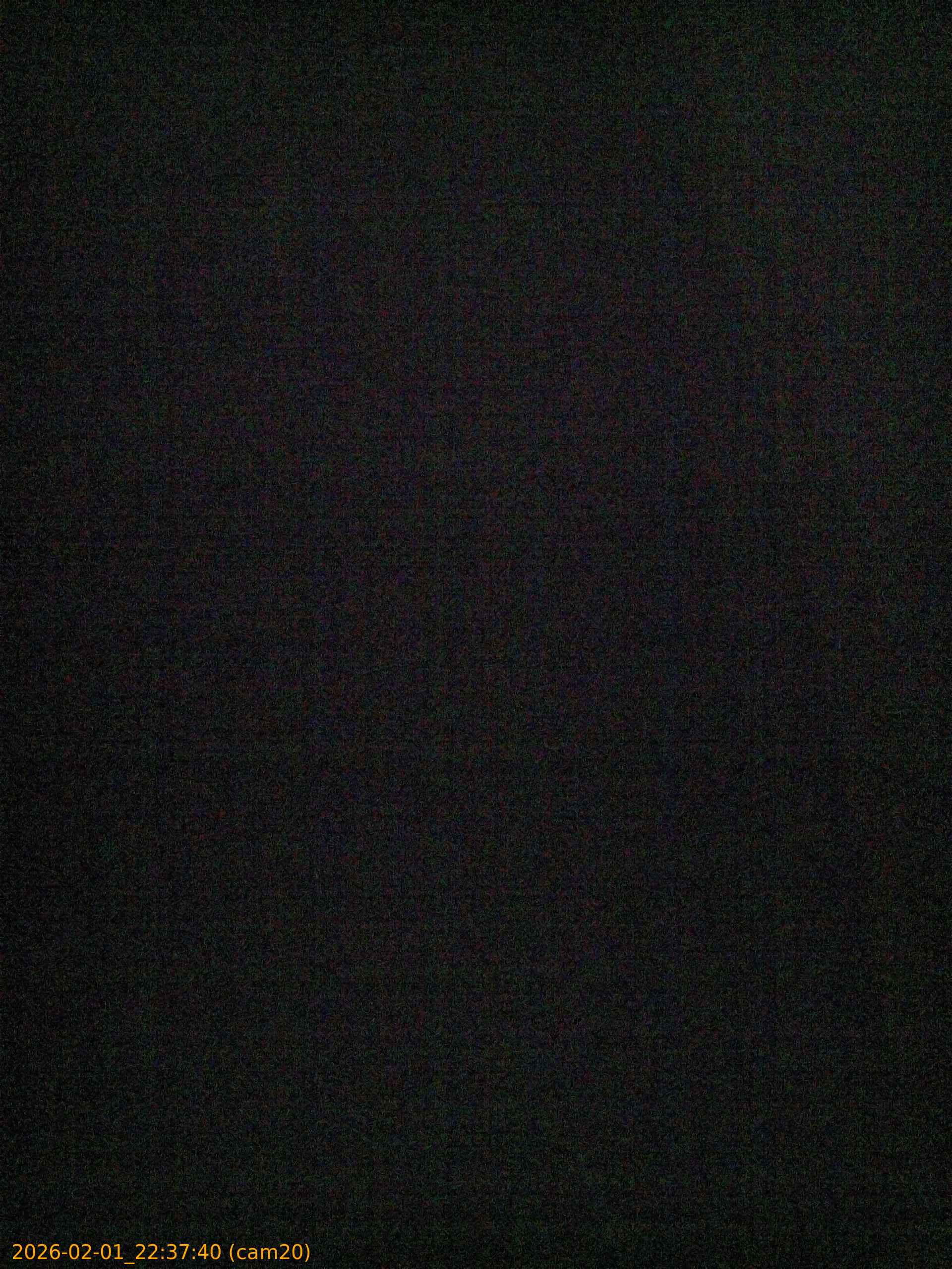 thumbnail_20260201223740