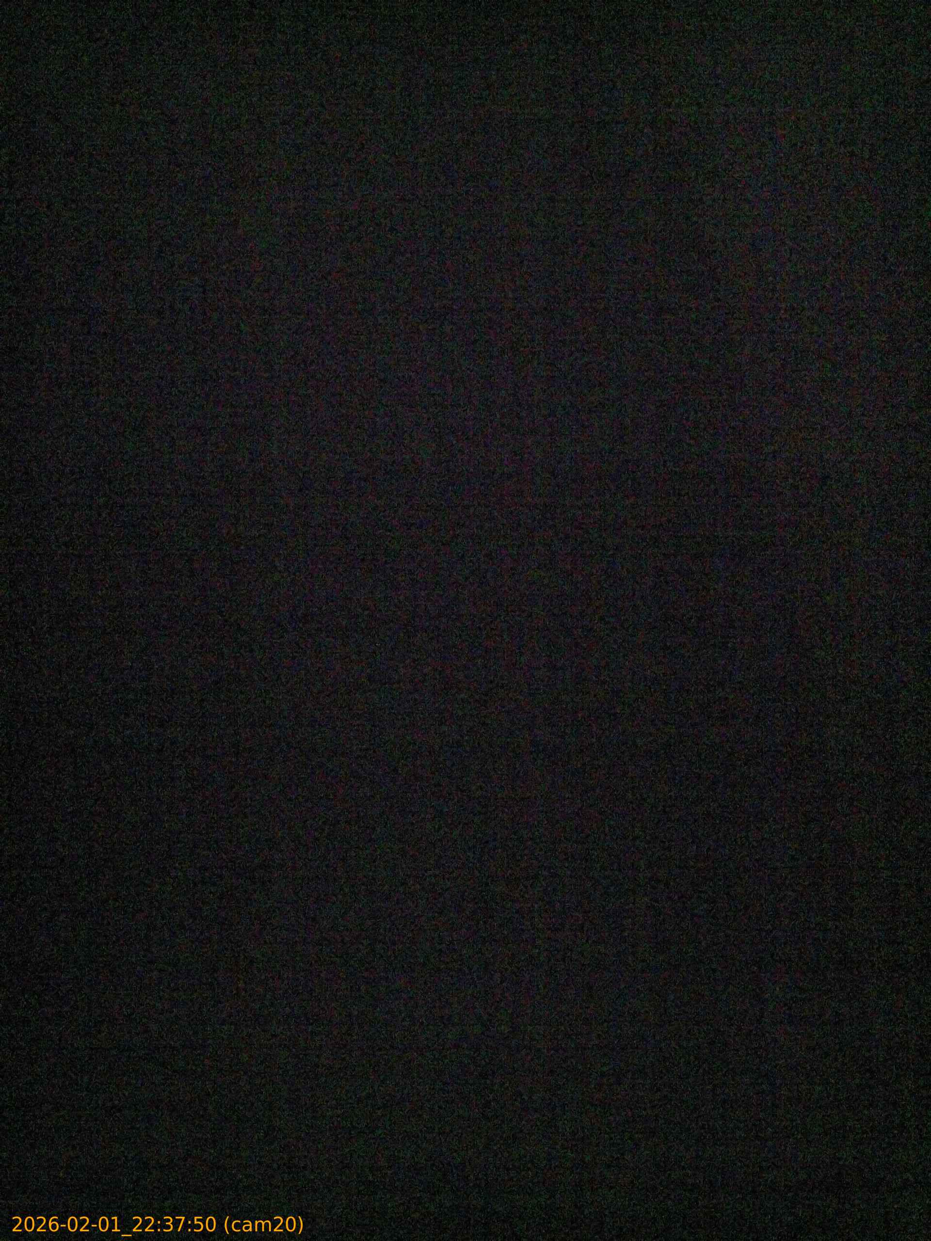 thumbnail_20260201223750