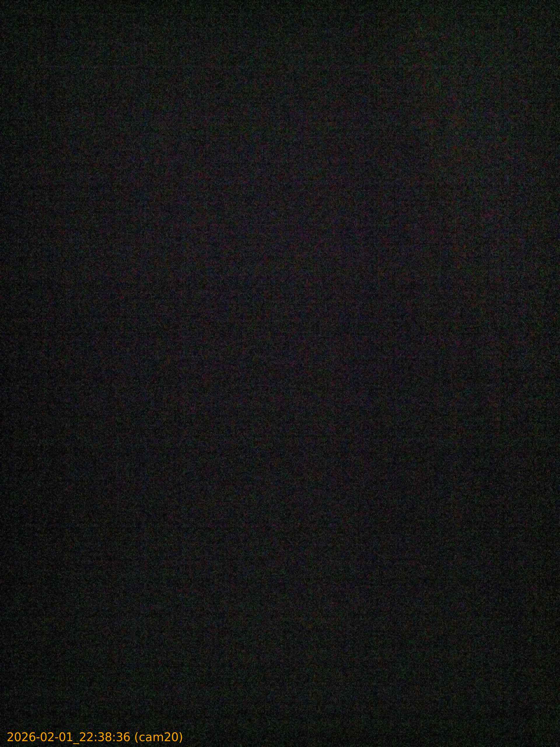 thumbnail_20260201223836