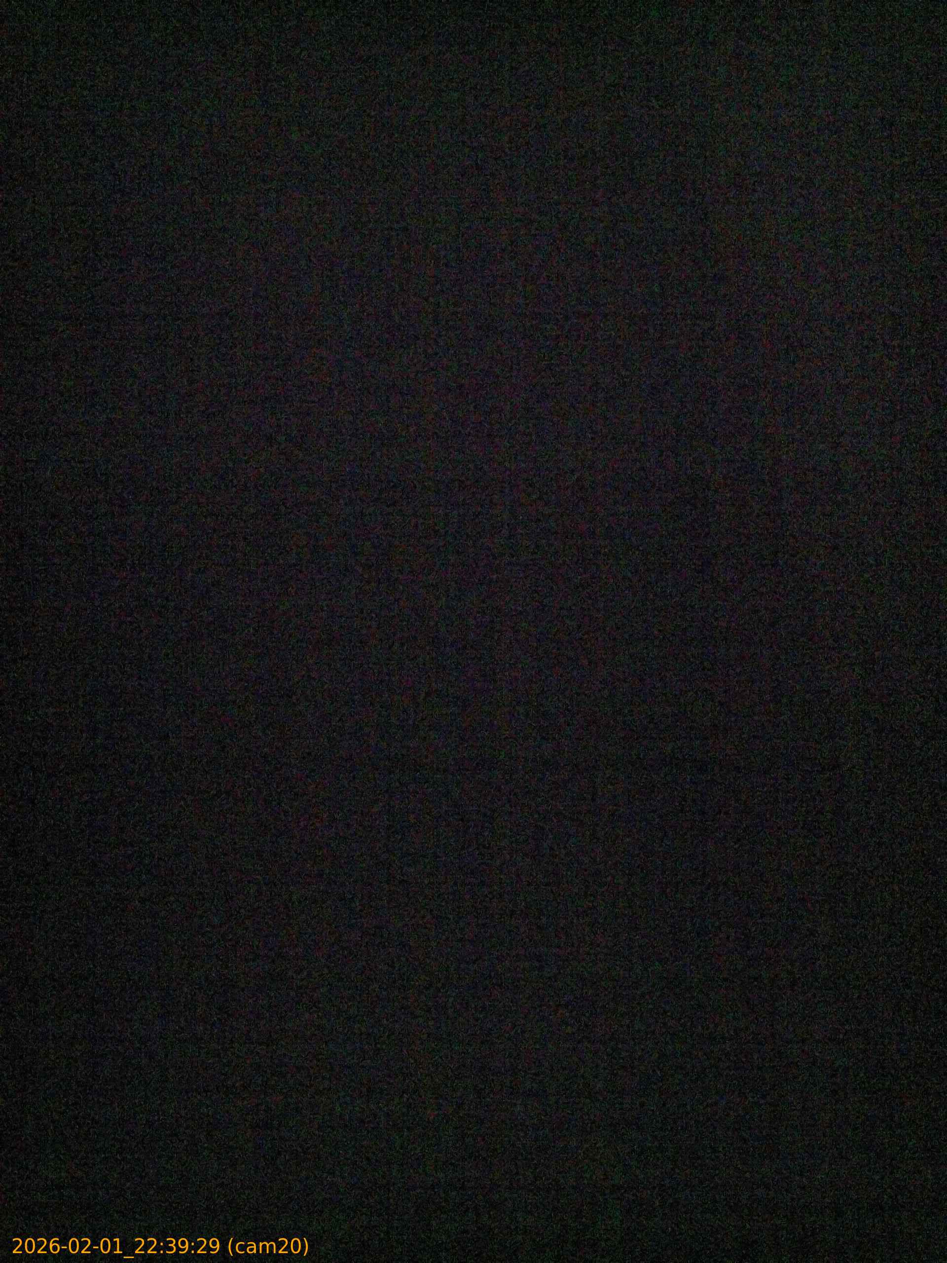 thumbnail_20260201223929