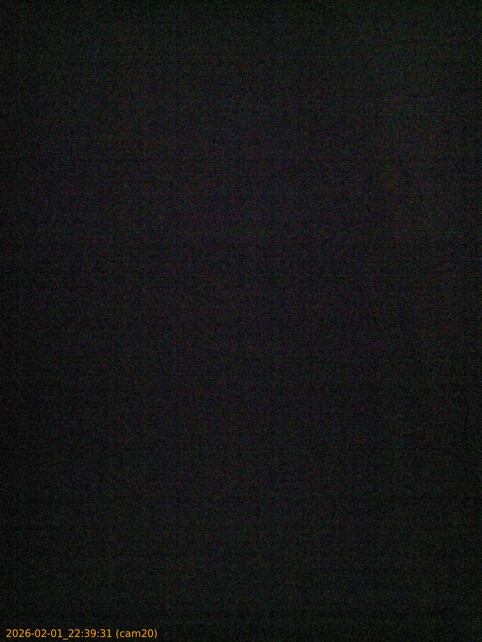 thumbnail_20260201223931