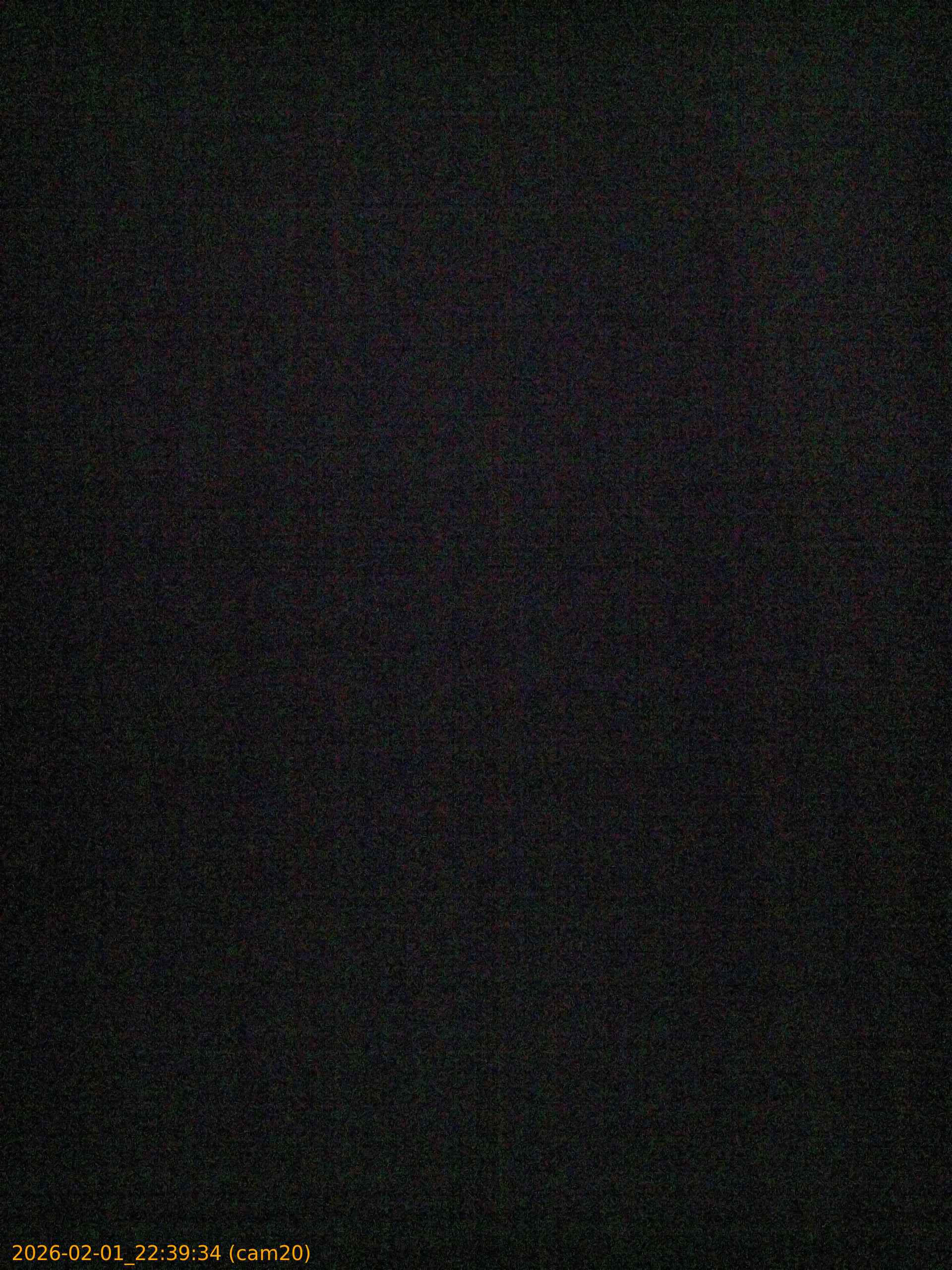 thumbnail_20260201223934