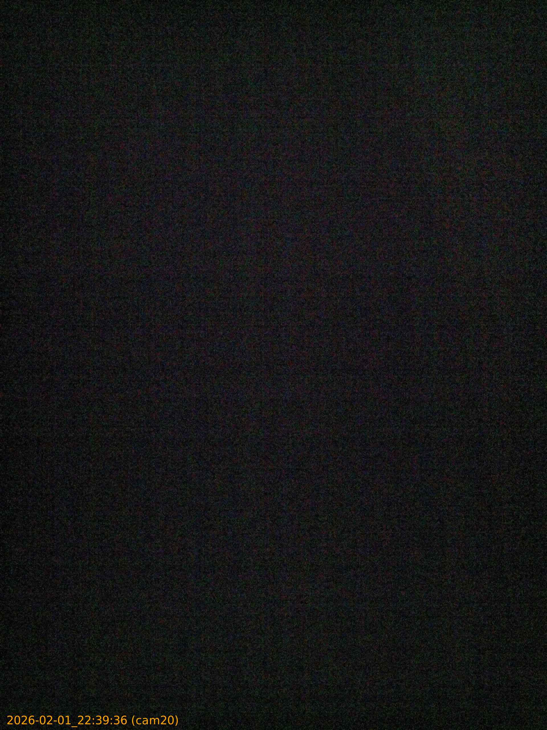 thumbnail_20260201223936