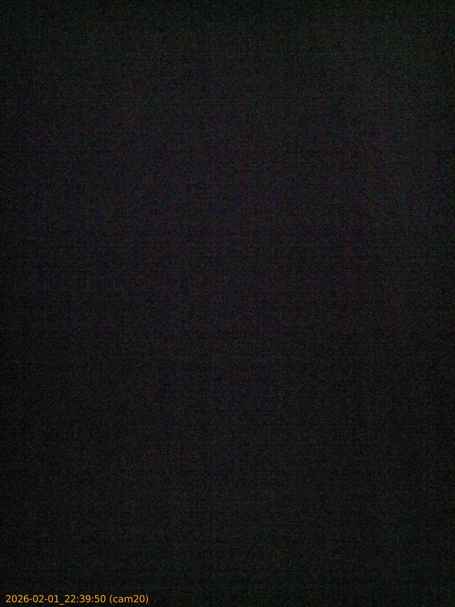 thumbnail_20260201223950