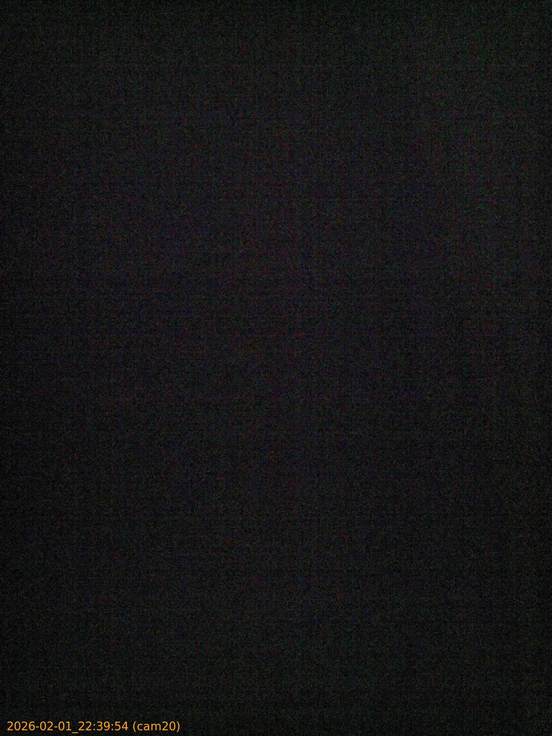 thumbnail_20260201223954