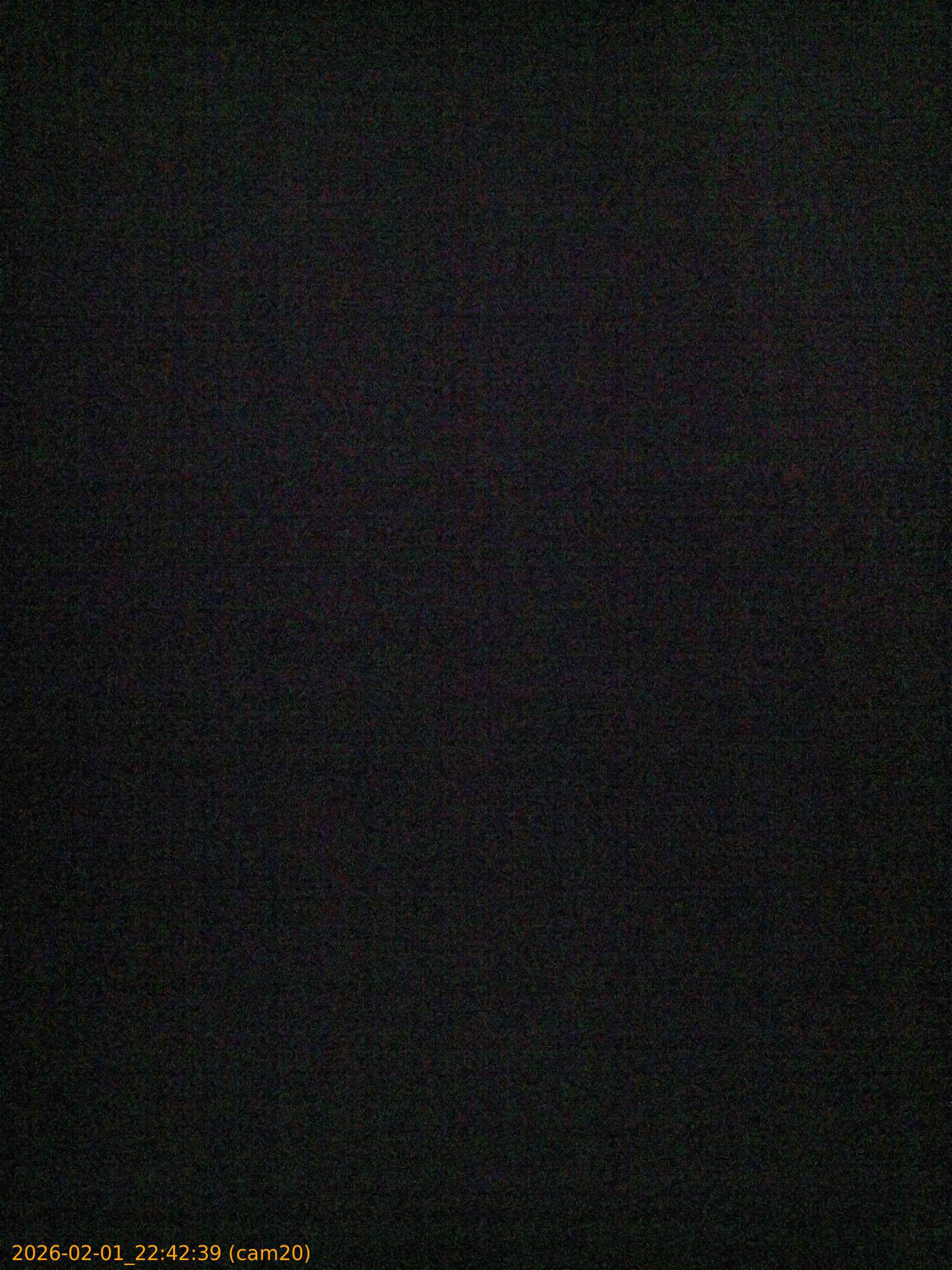 thumbnail_20260201224239