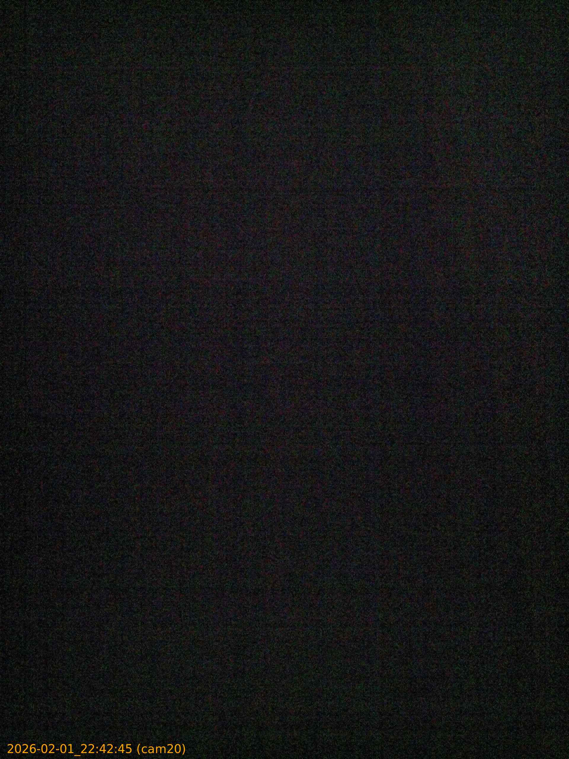 thumbnail_20260201224245