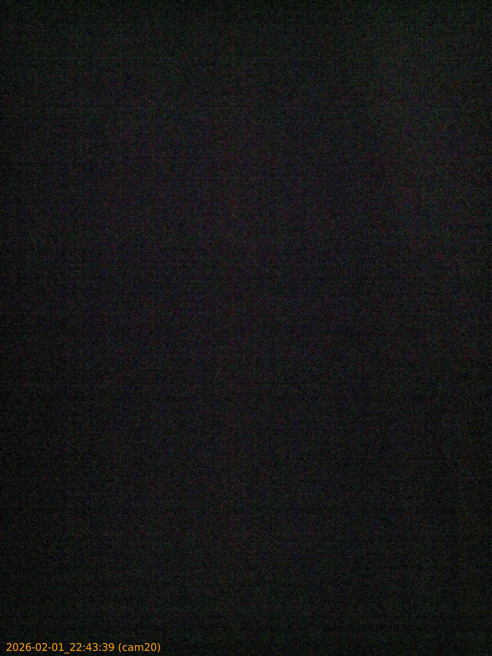 thumbnail_20260201224339