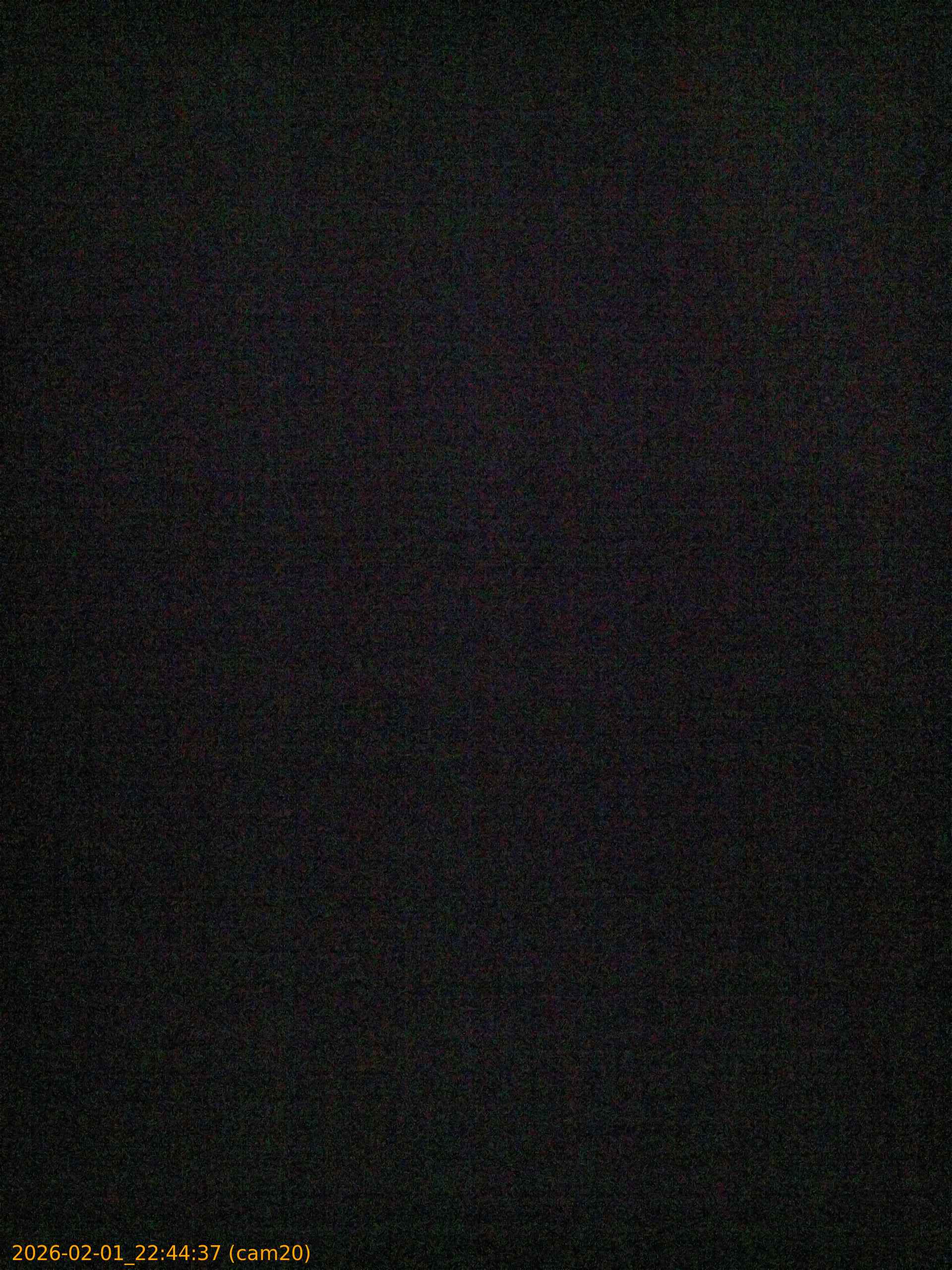 thumbnail_20260201224437