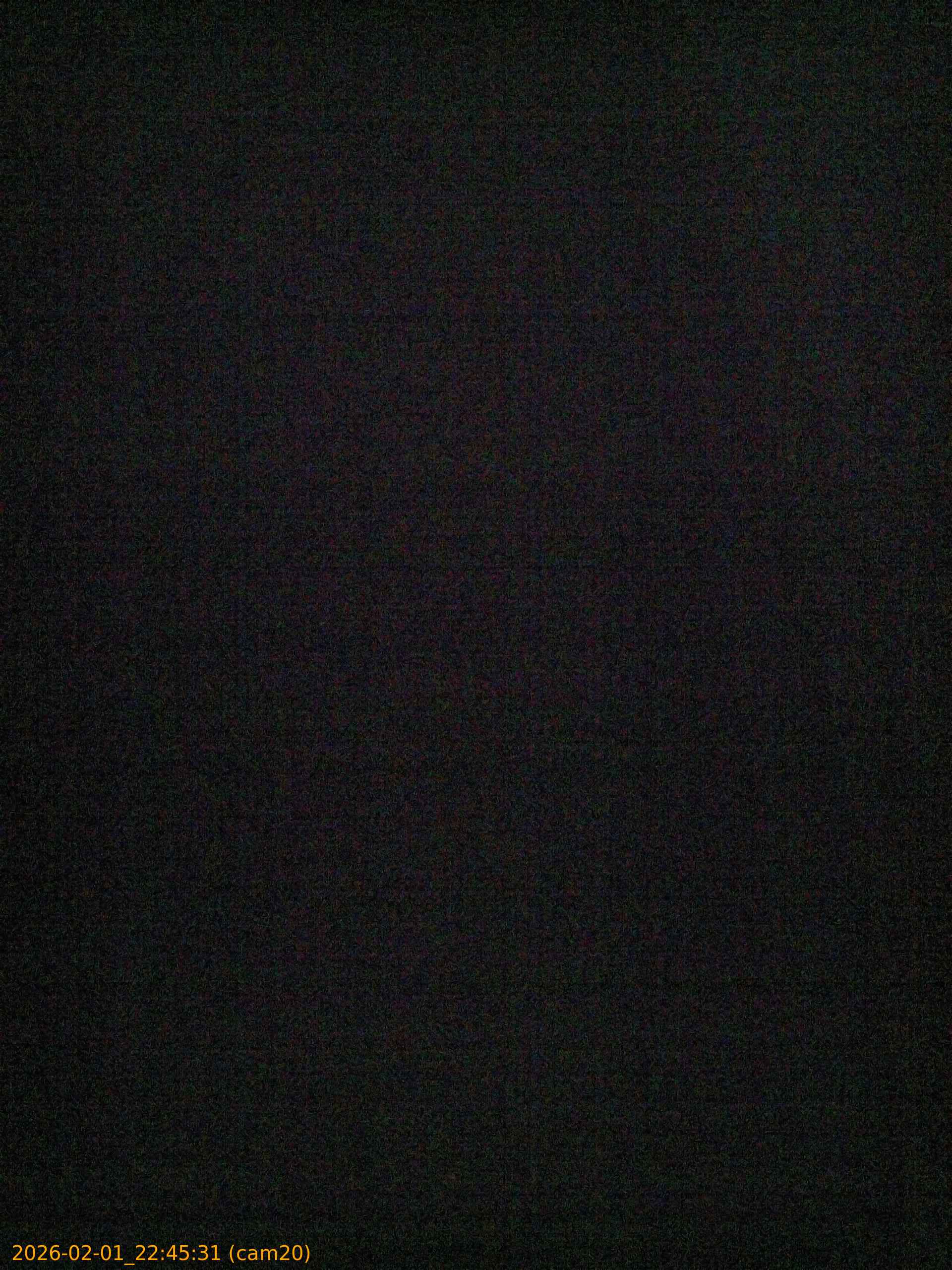 thumbnail_20260201224531