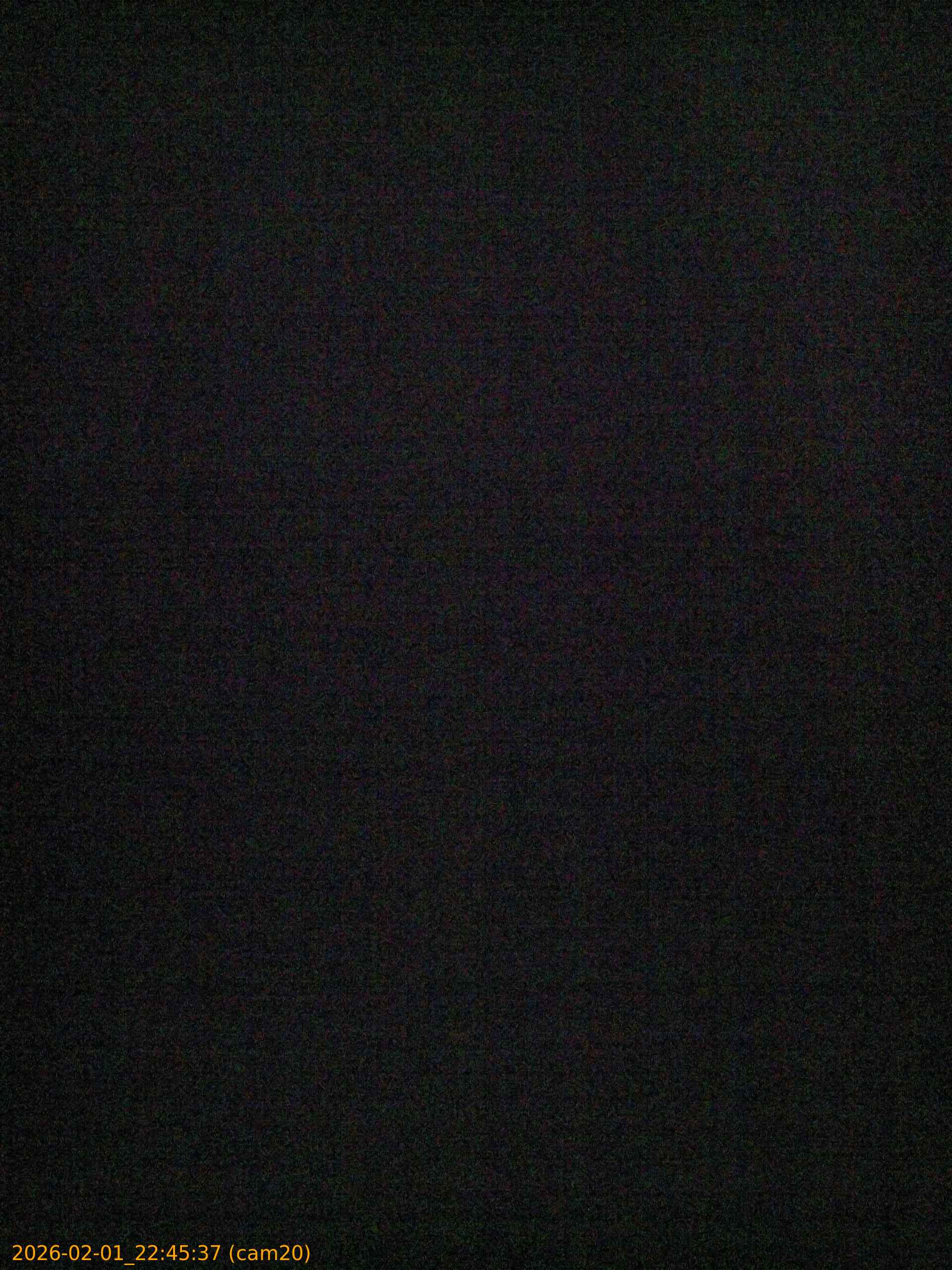 thumbnail_20260201224537