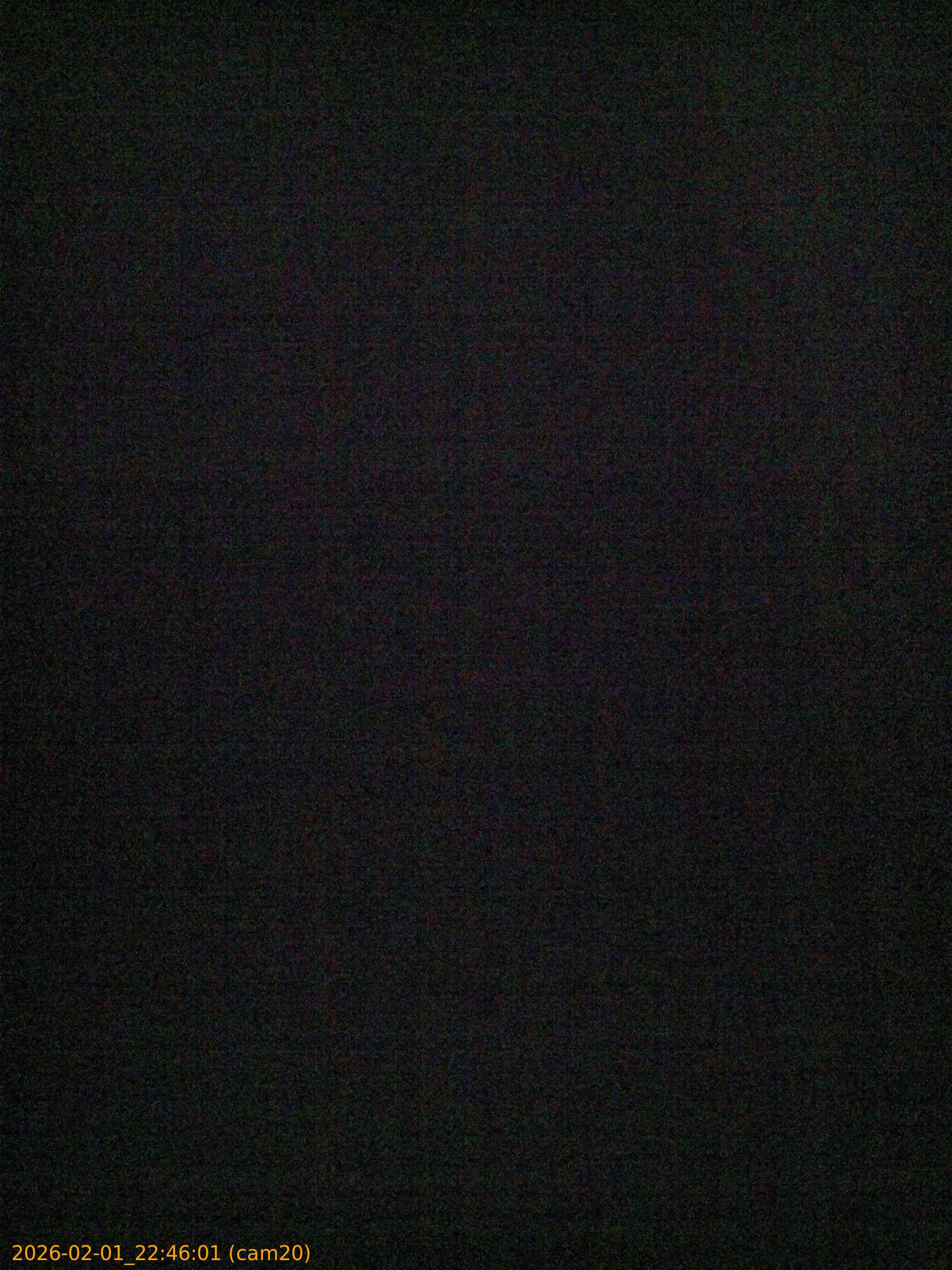 thumbnail_20260201224601