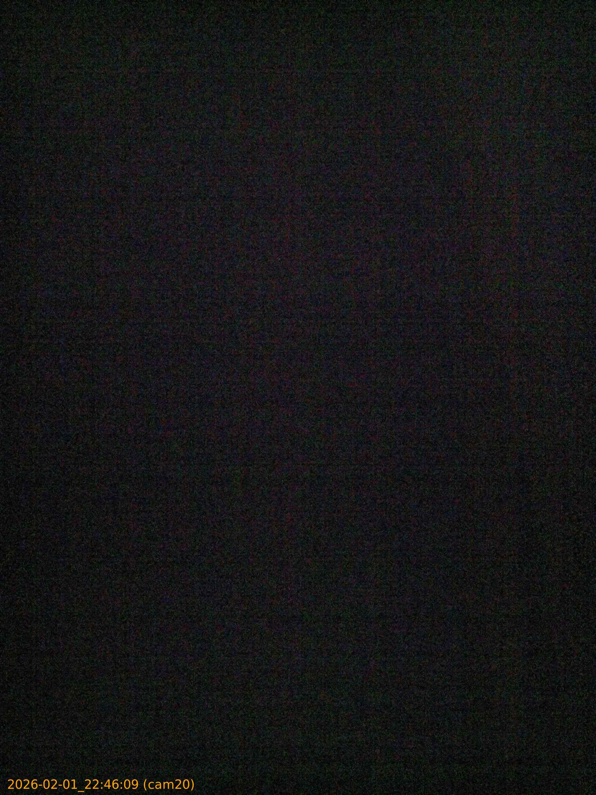 thumbnail_20260201224609