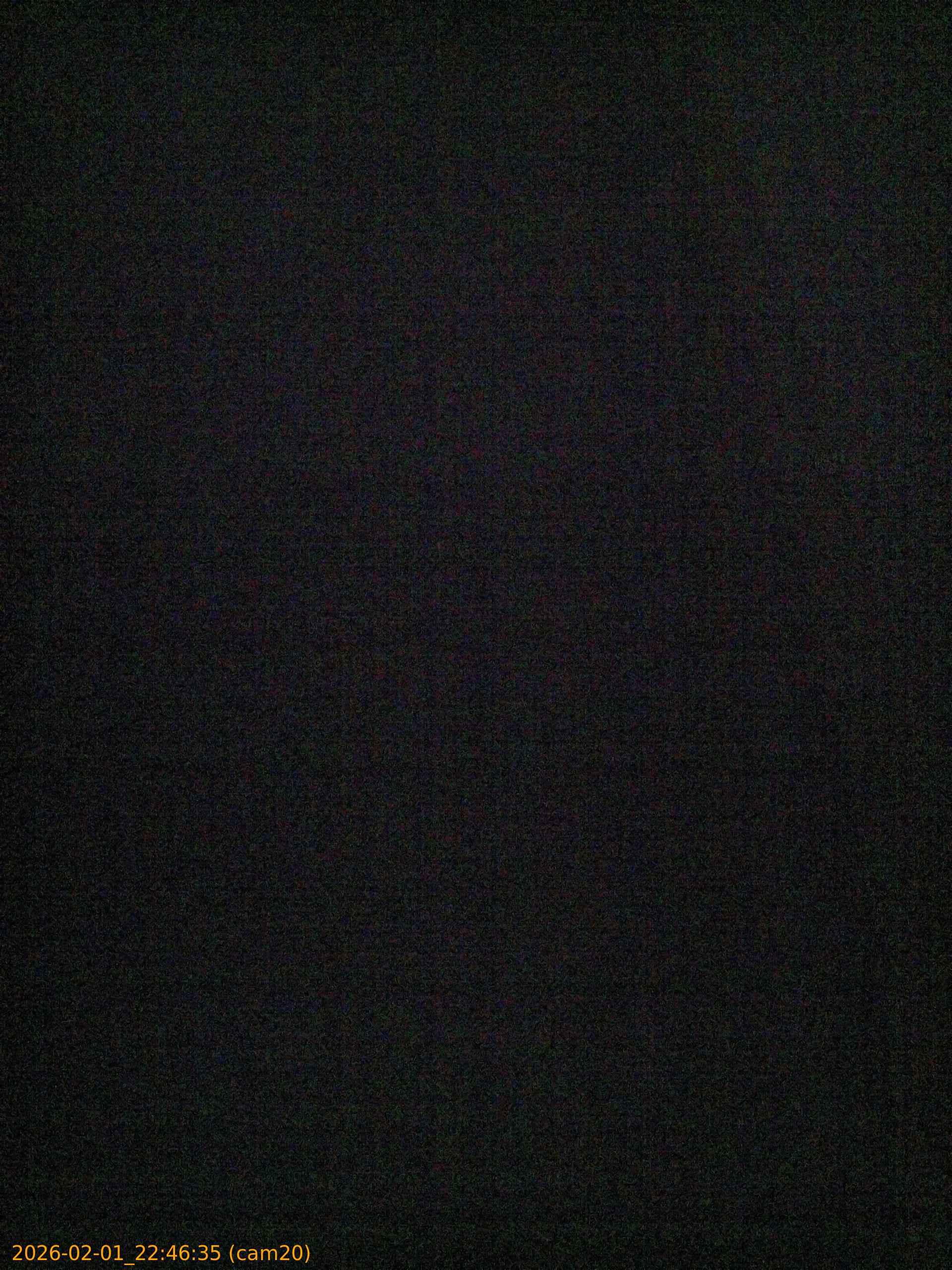 thumbnail_20260201224635