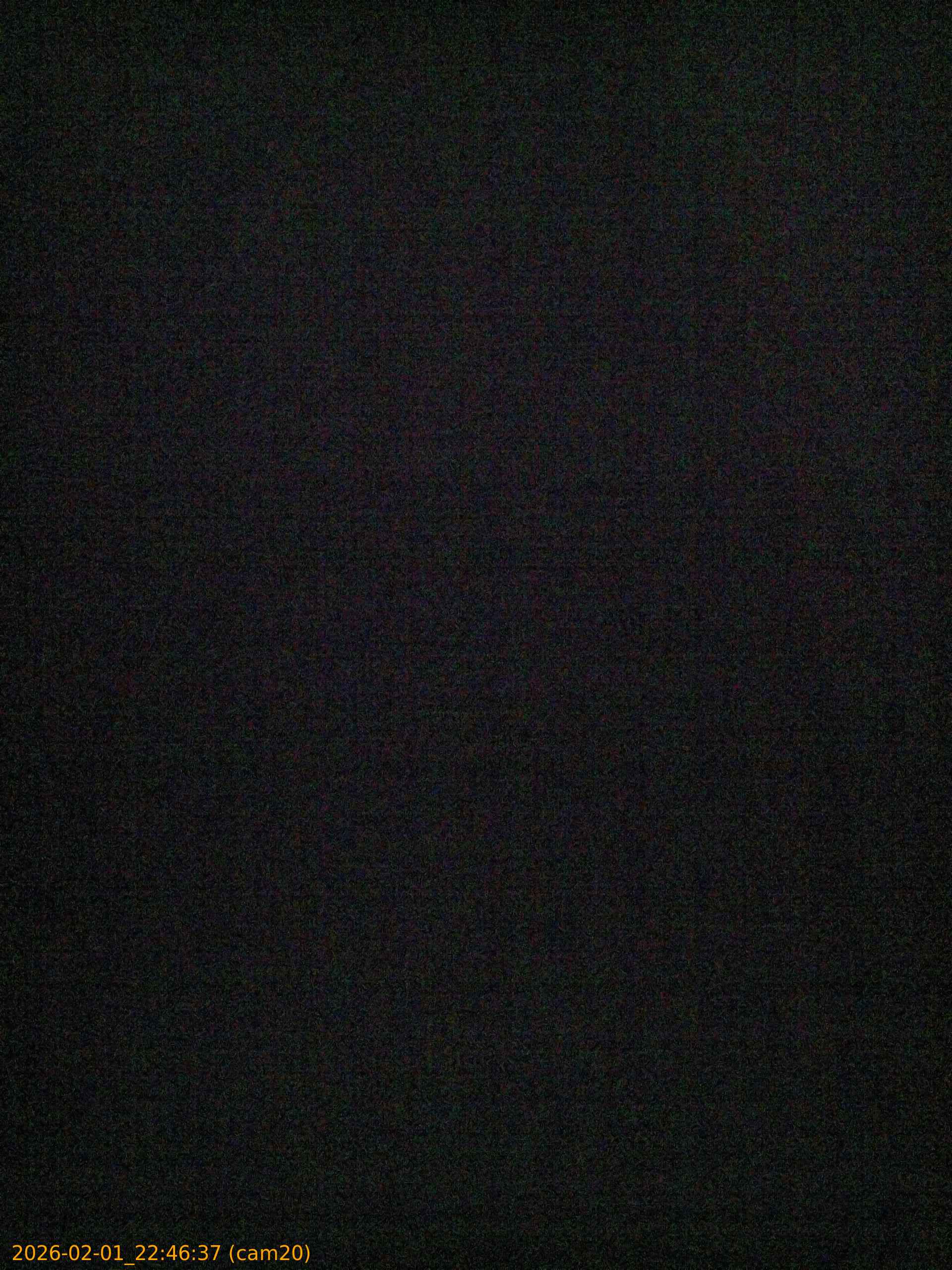 thumbnail_20260201224637