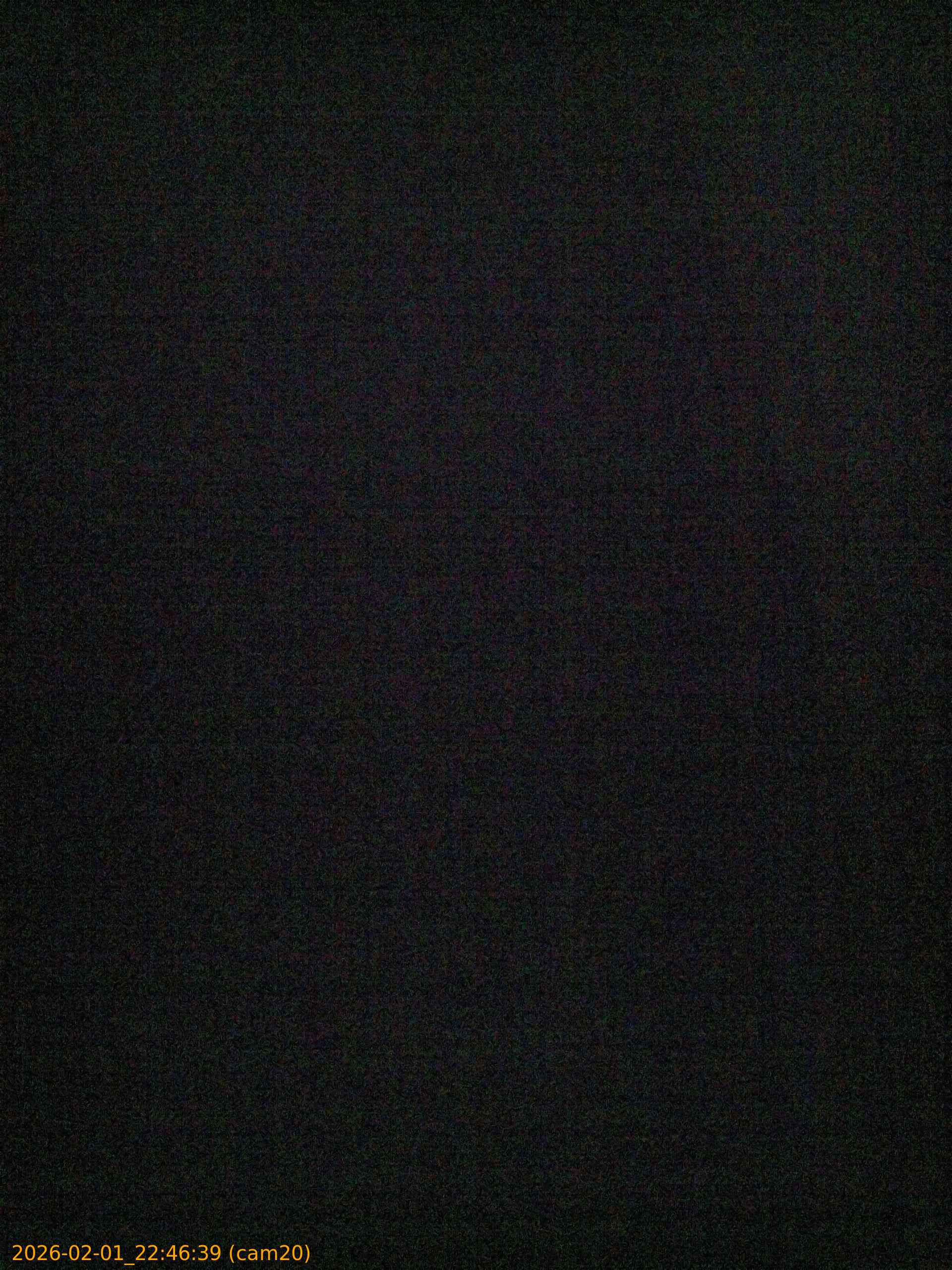 thumbnail_20260201224639