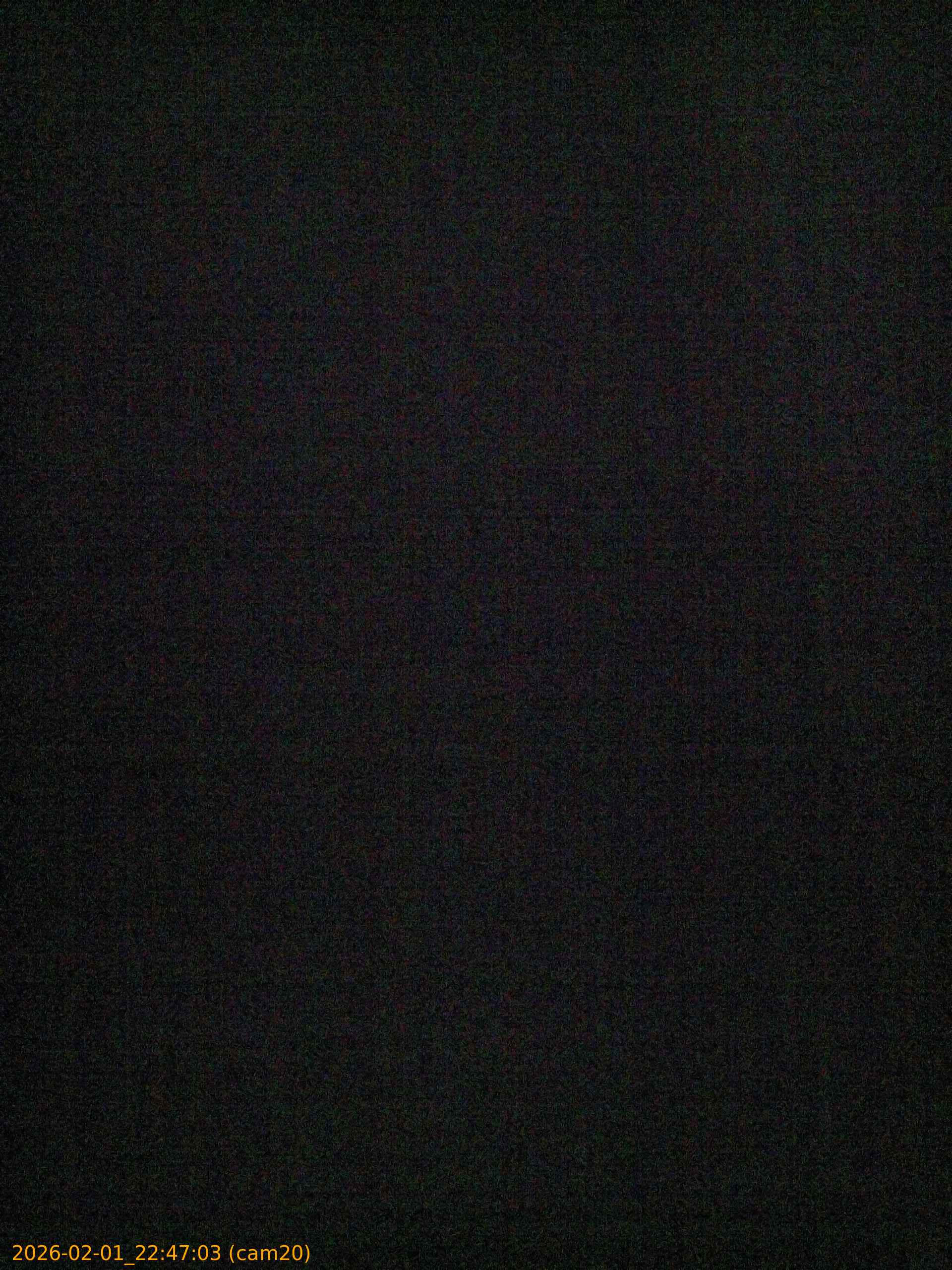 thumbnail_20260201224703