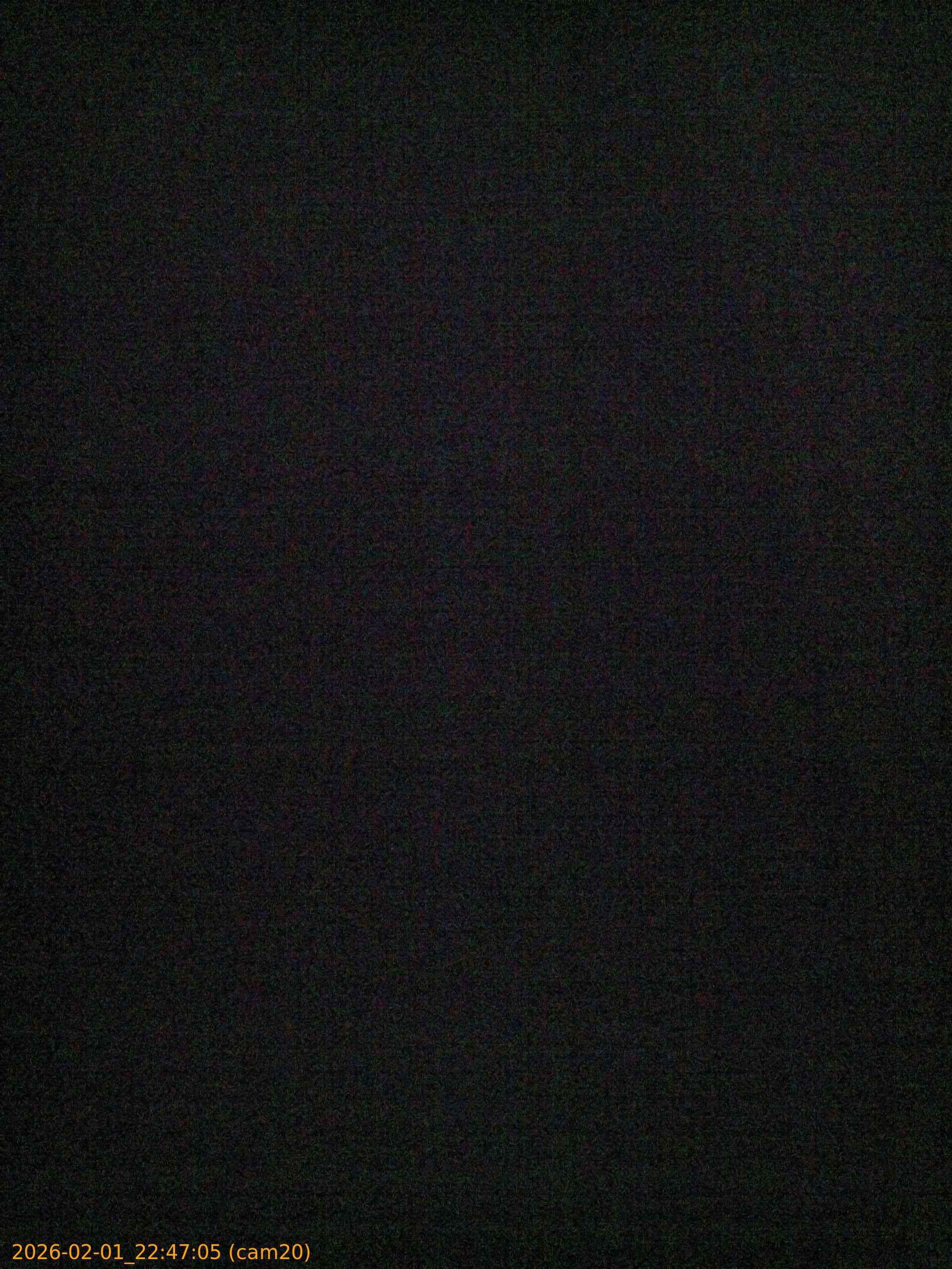 thumbnail_20260201224705