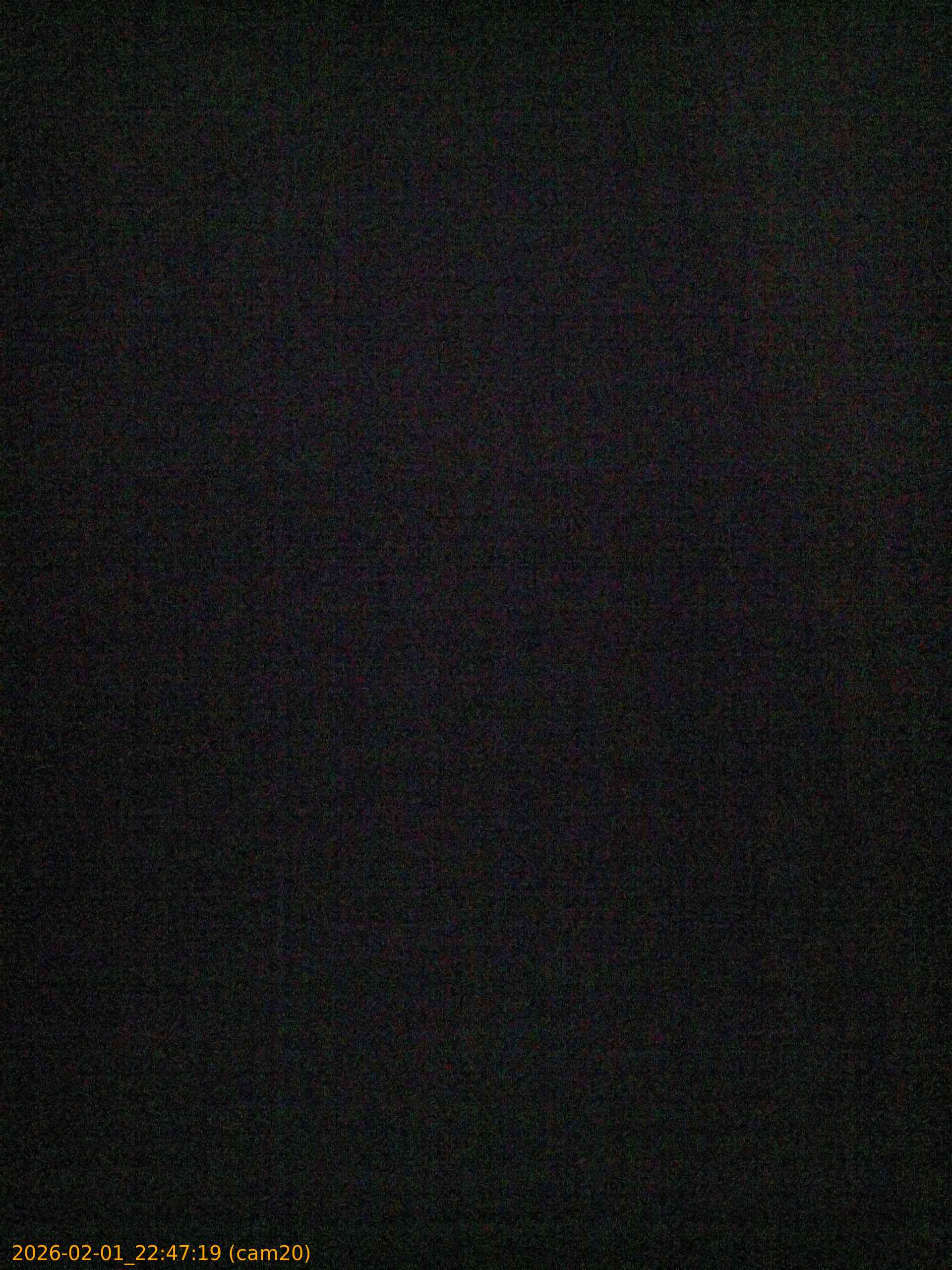 thumbnail_20260201224719