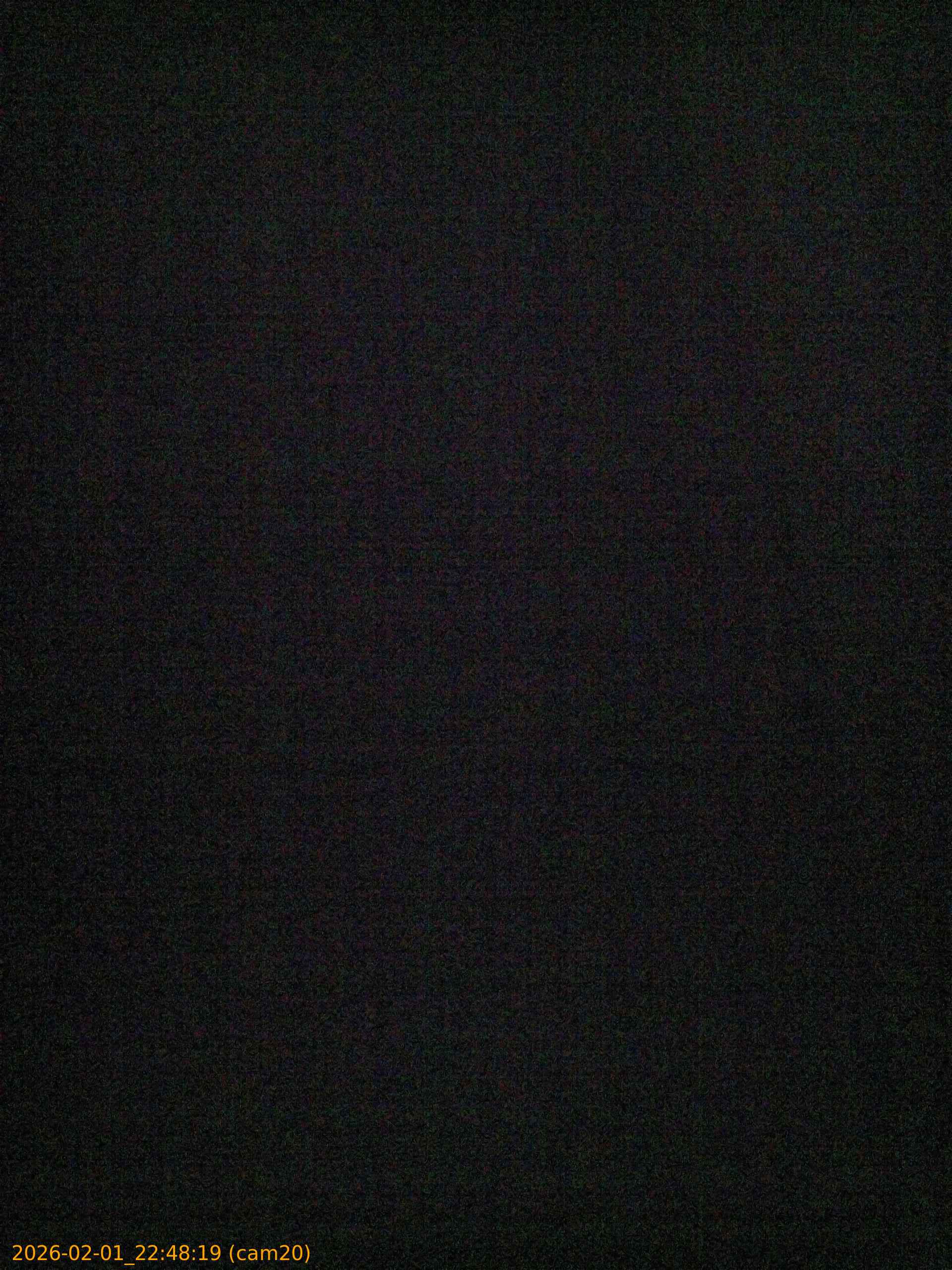 thumbnail_20260201224819