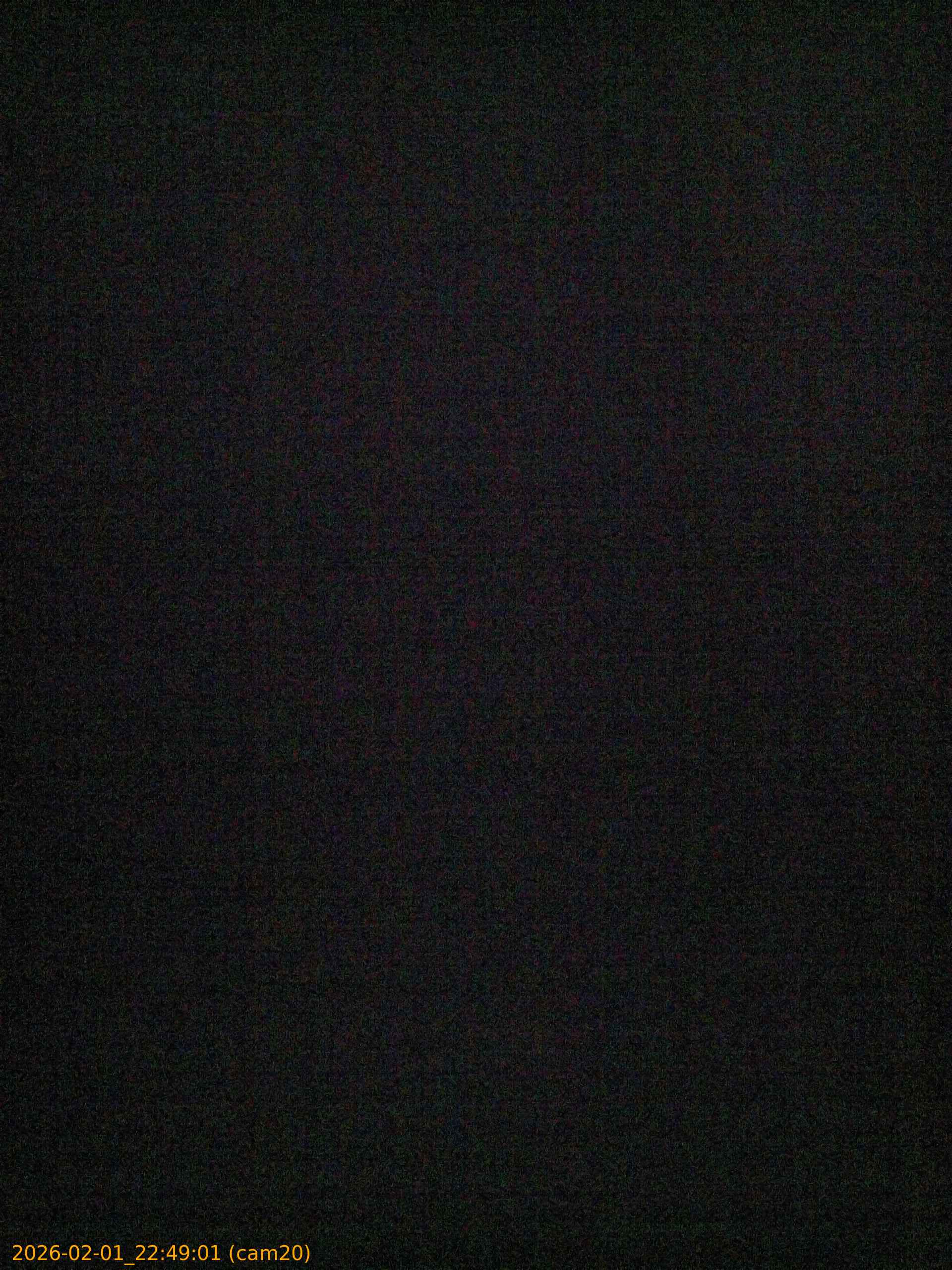 thumbnail_20260201224901