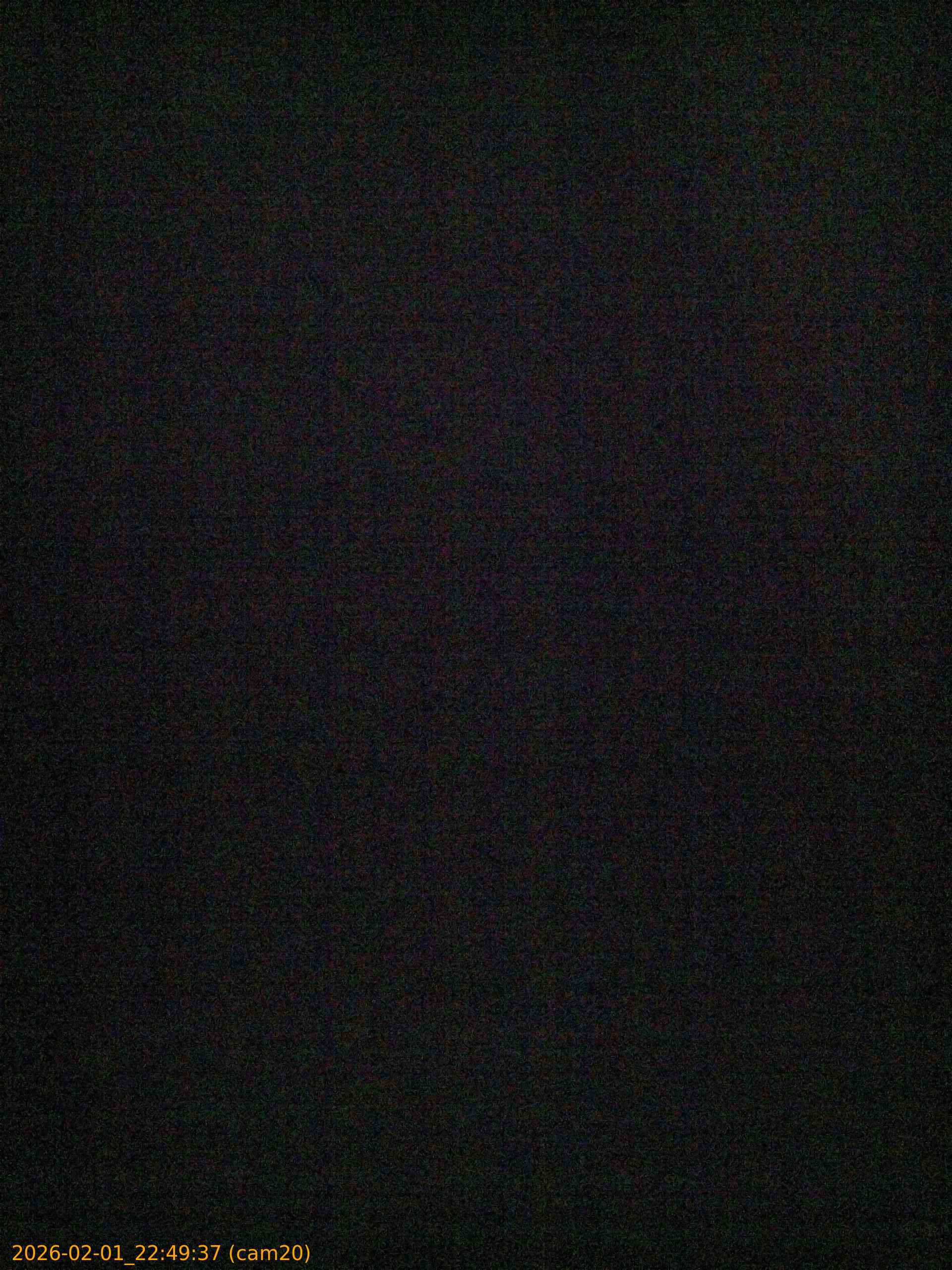 thumbnail_20260201224937