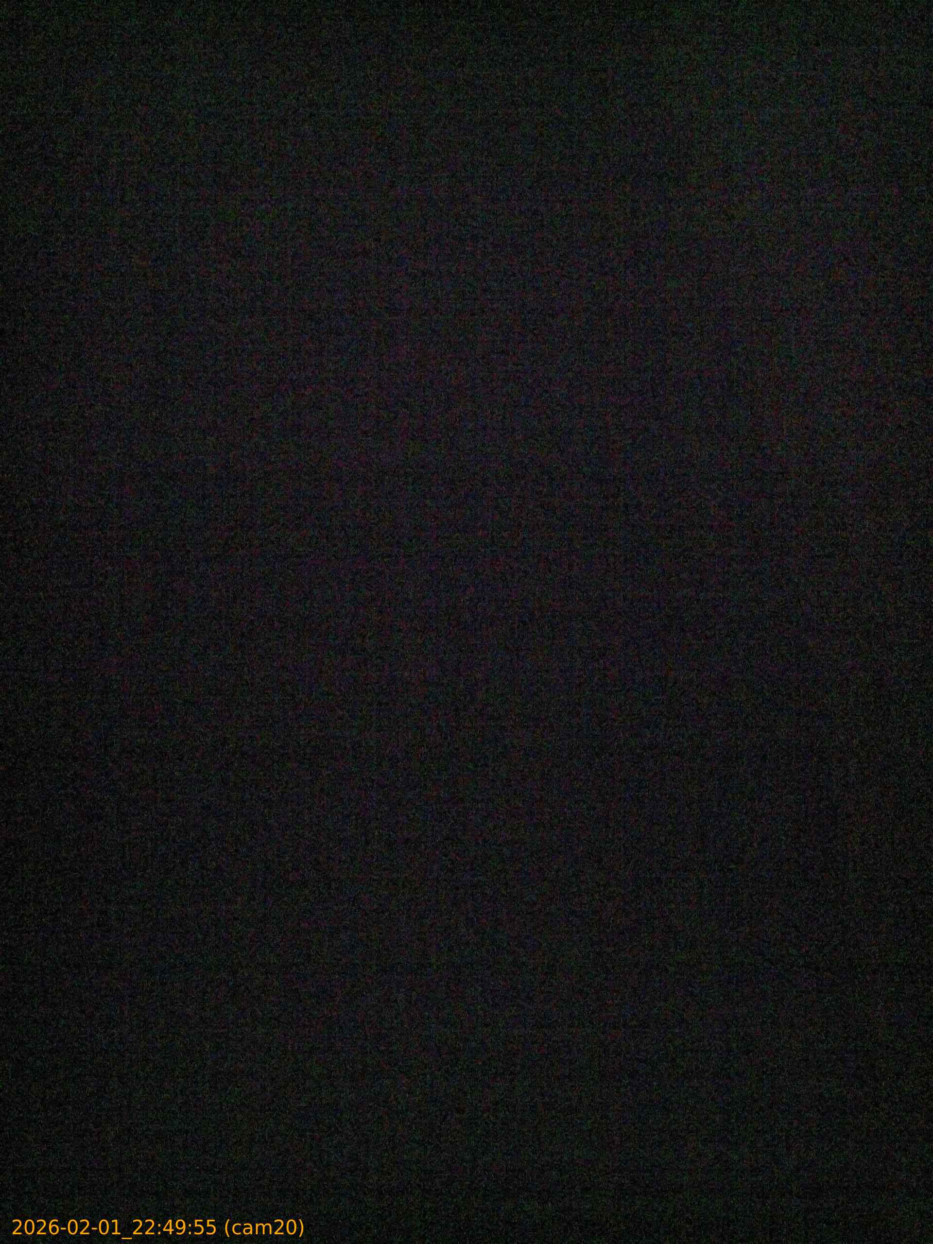 thumbnail_20260201224955