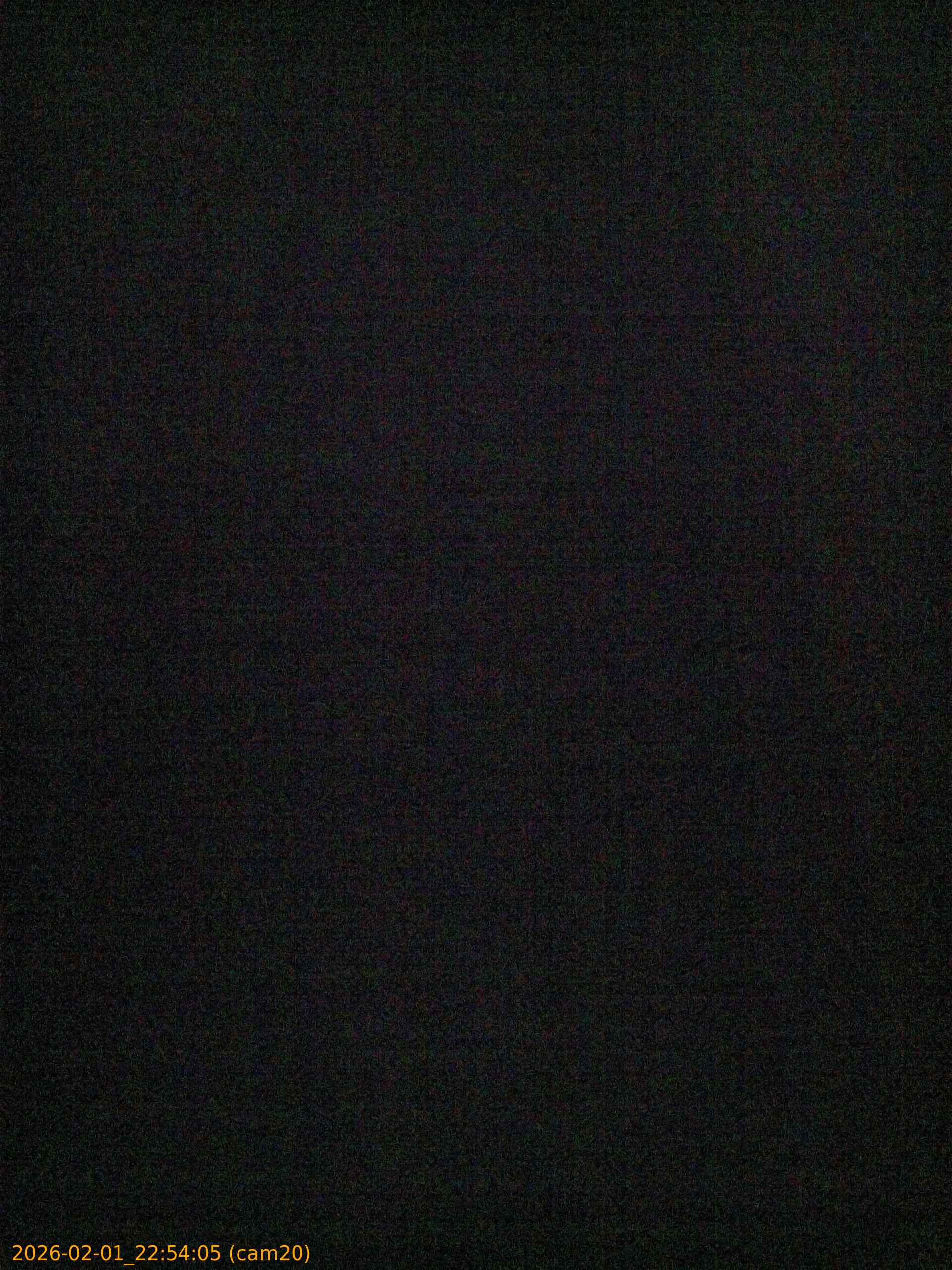 thumbnail_20260201225405