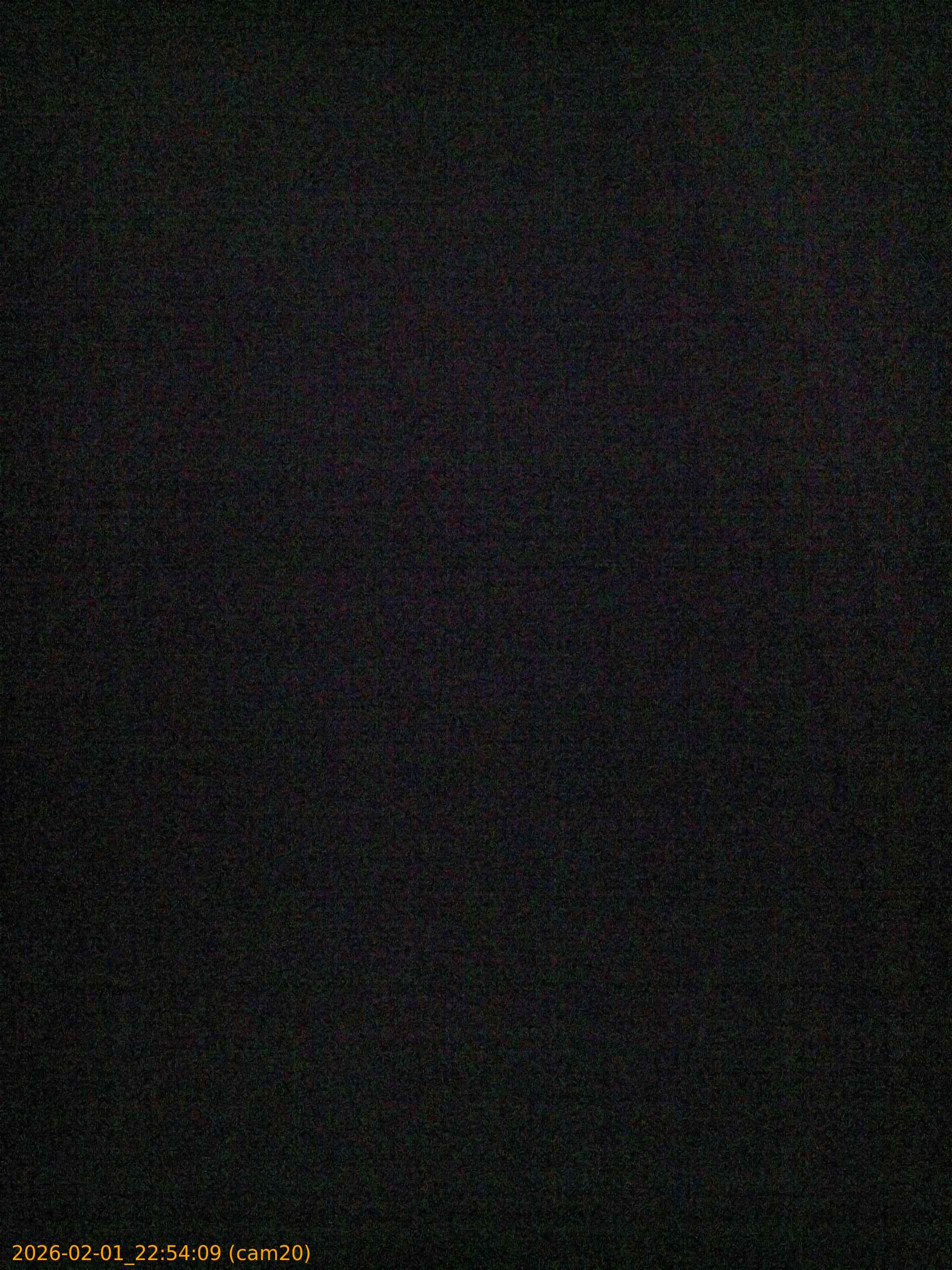 thumbnail_20260201225409