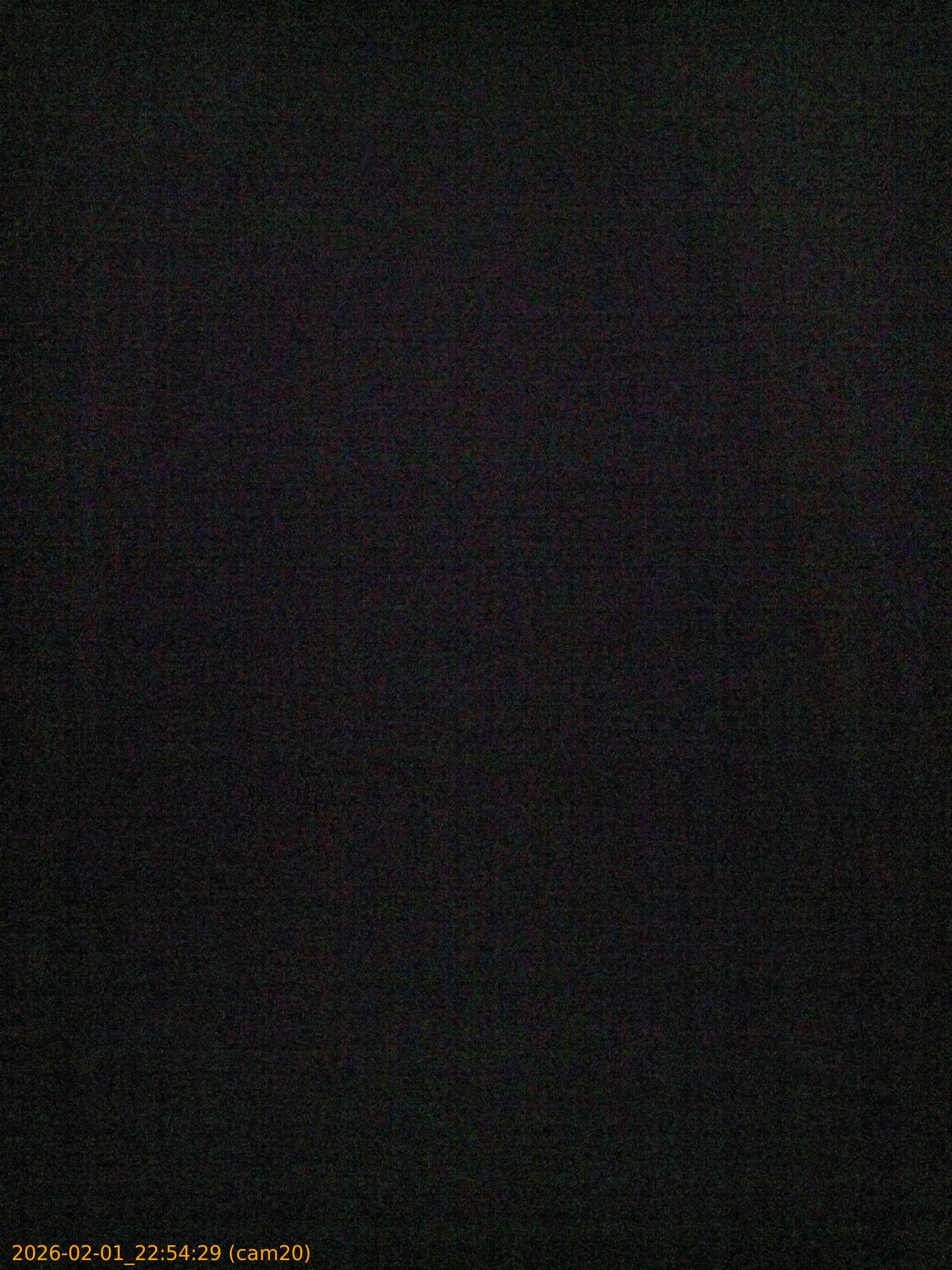 thumbnail_20260201225429