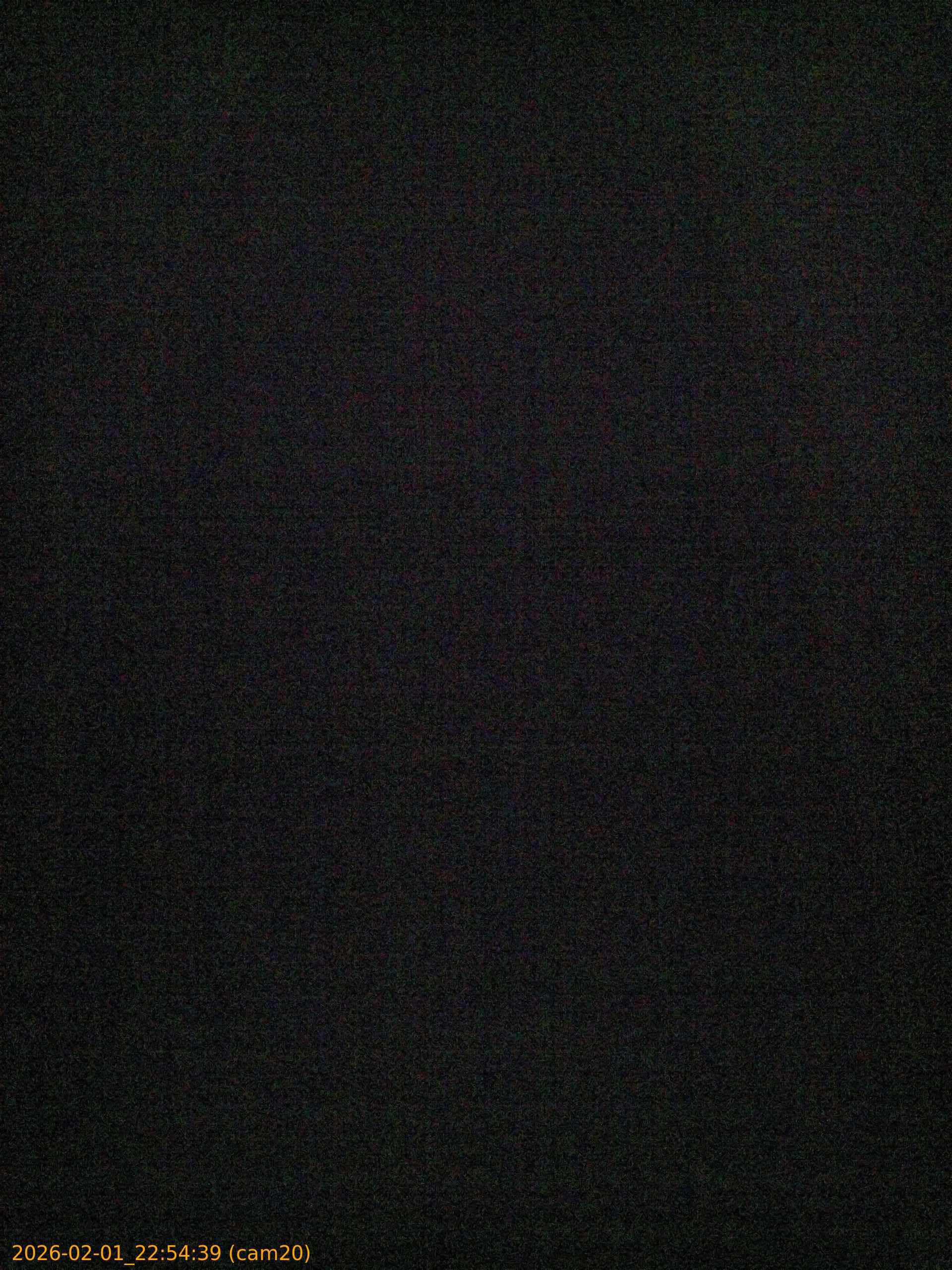 thumbnail_20260201225439