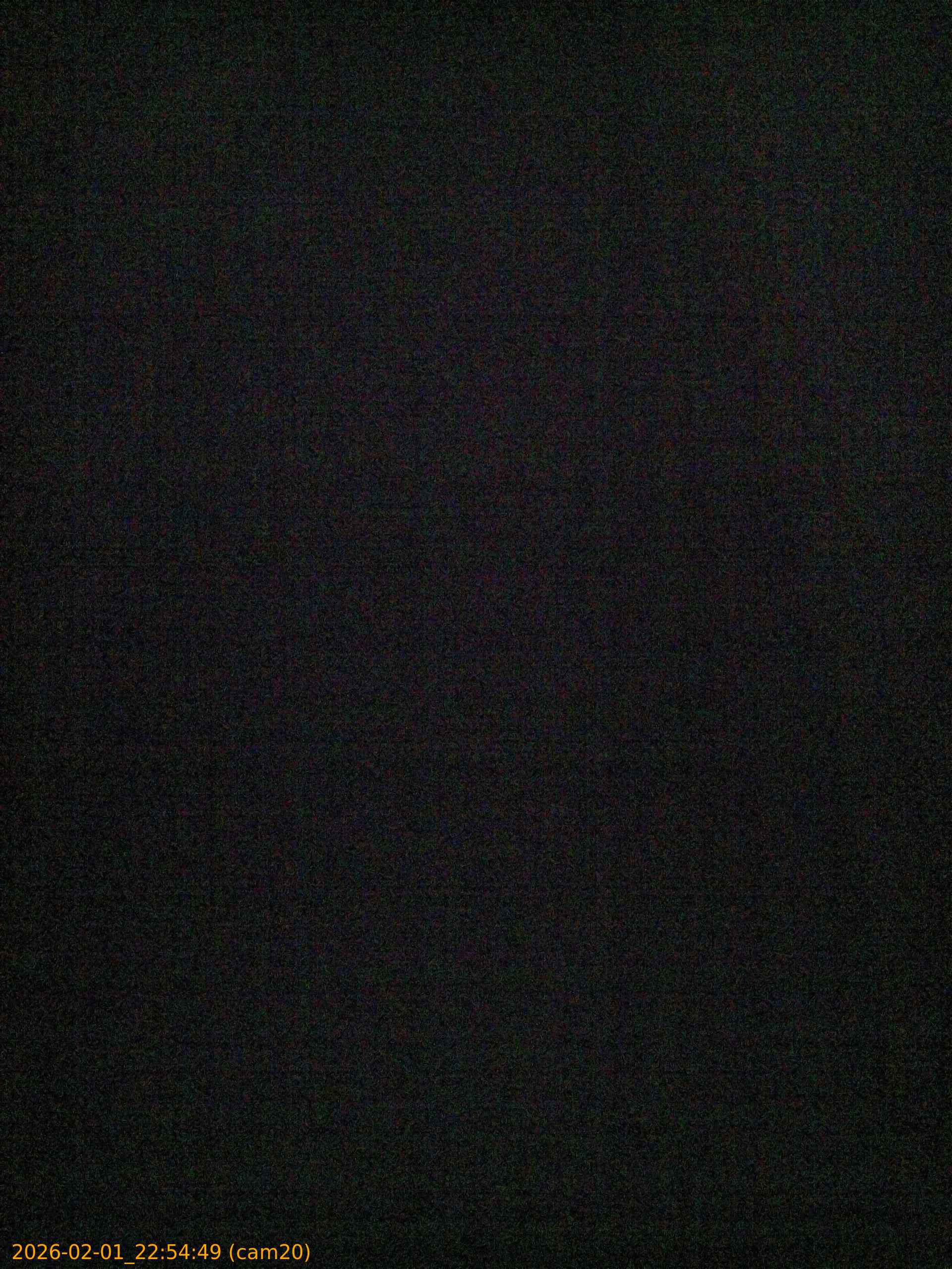 thumbnail_20260201225449