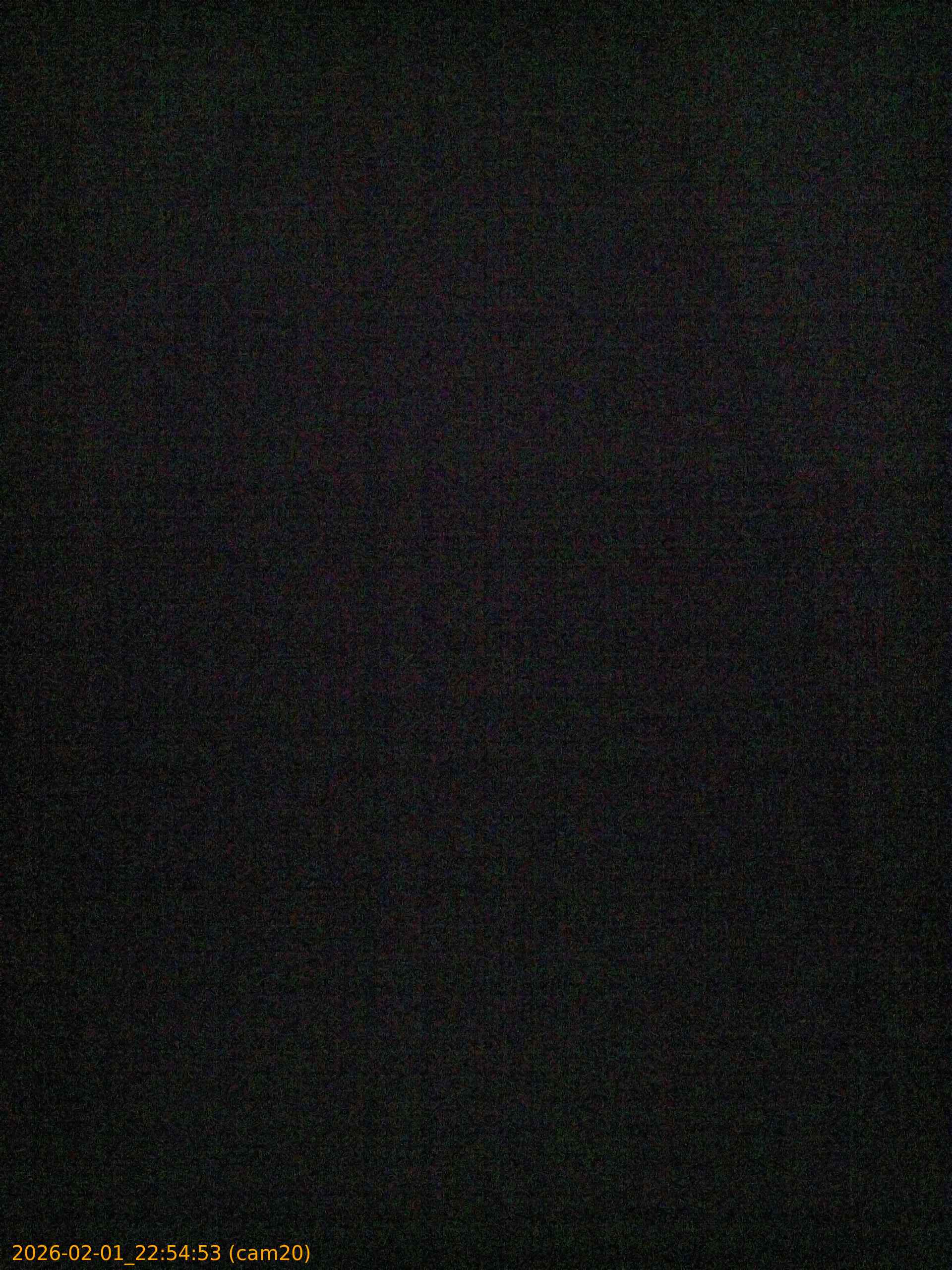 thumbnail_20260201225453