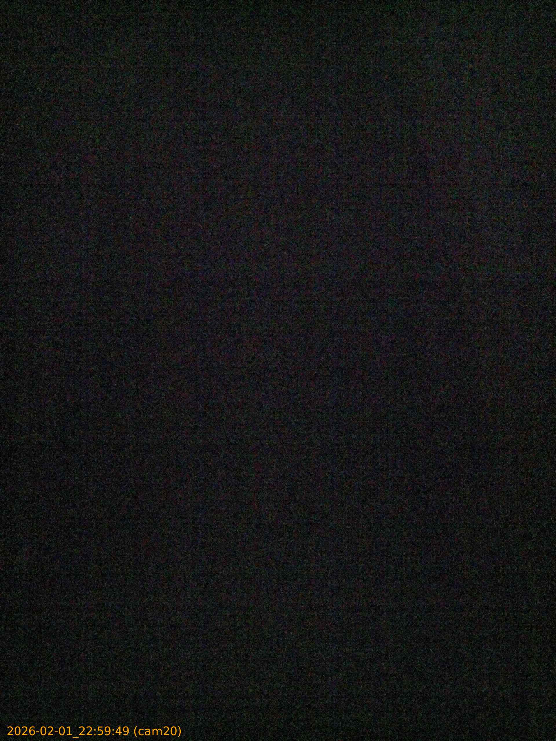 thumbnail_20260201225949