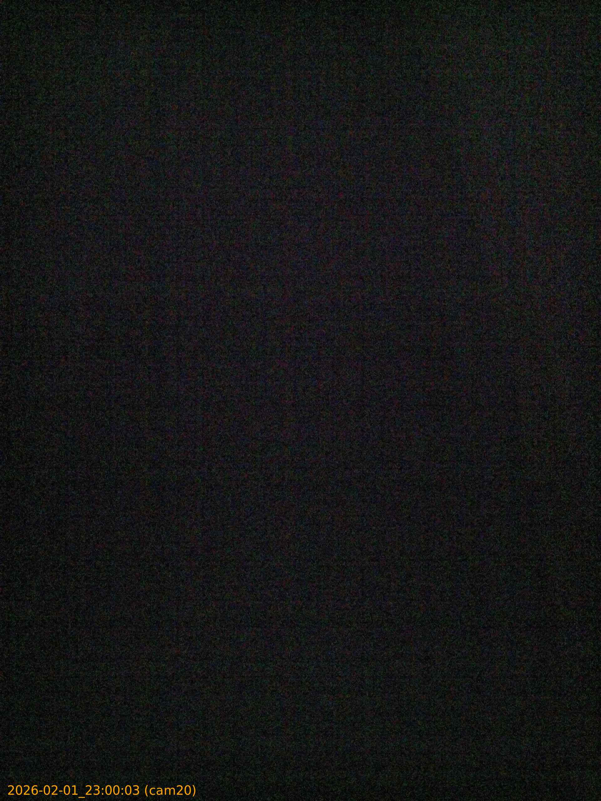 thumbnail_20260201230003