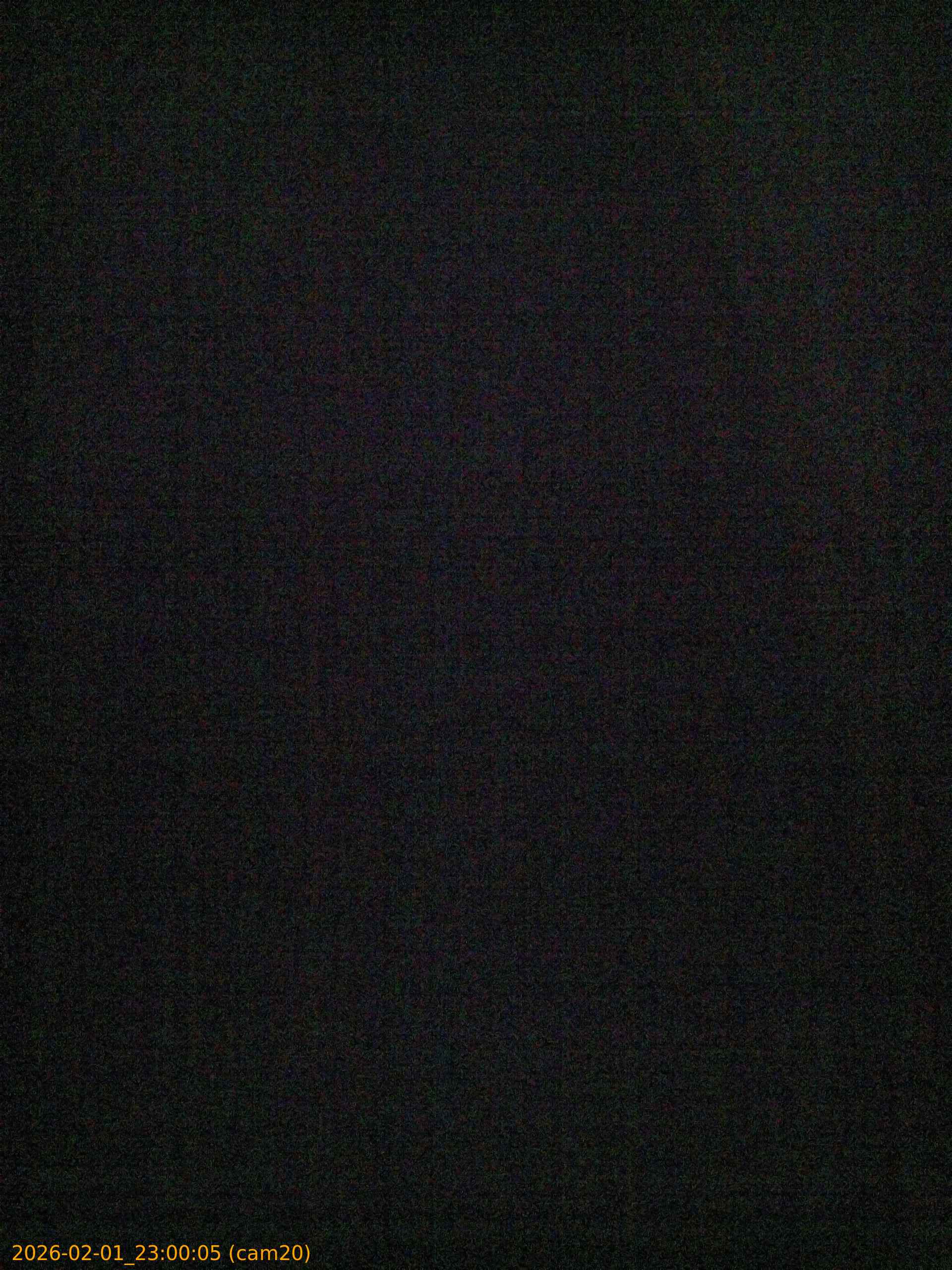 thumbnail_20260201230005