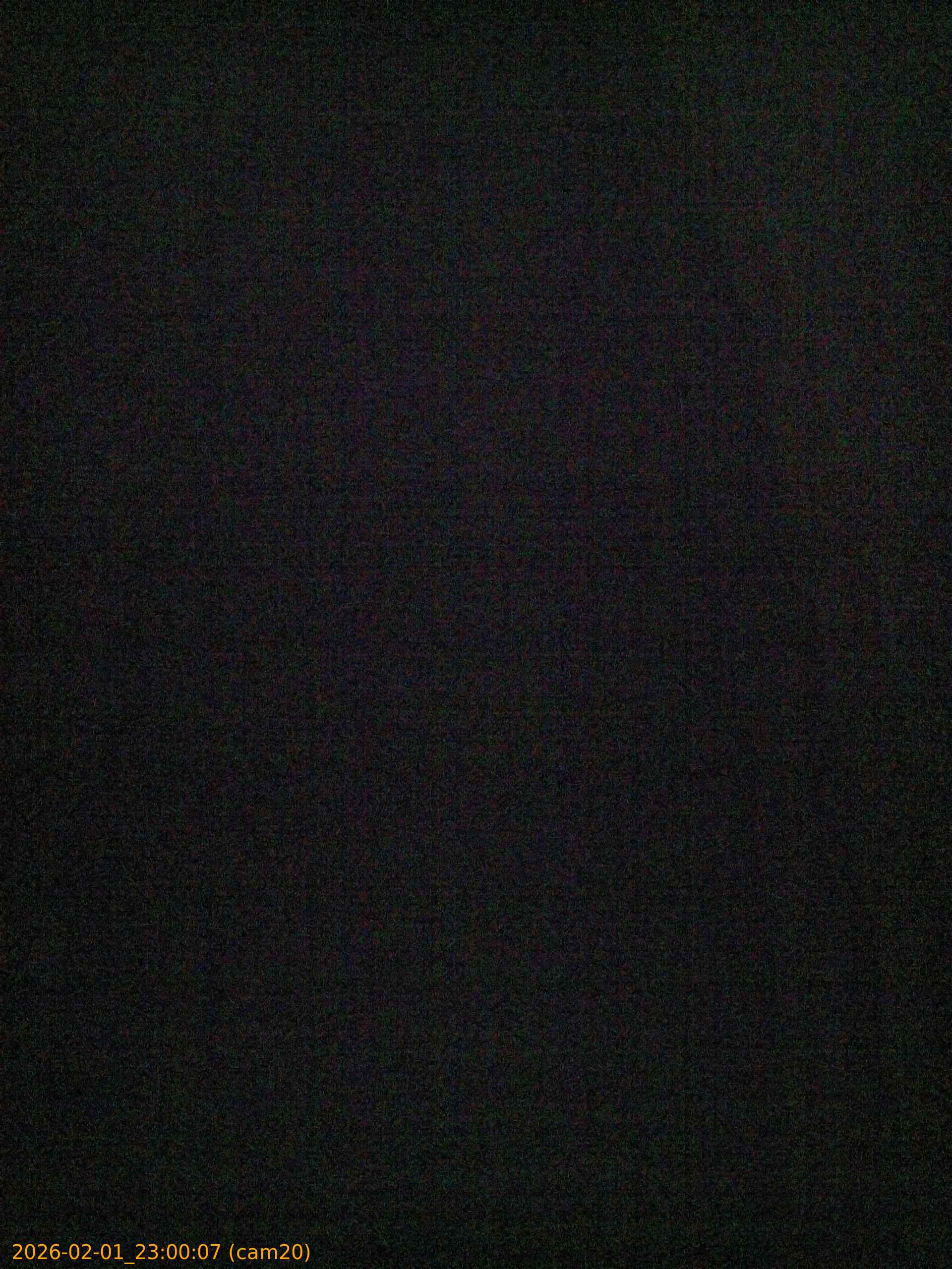 thumbnail_20260201230007