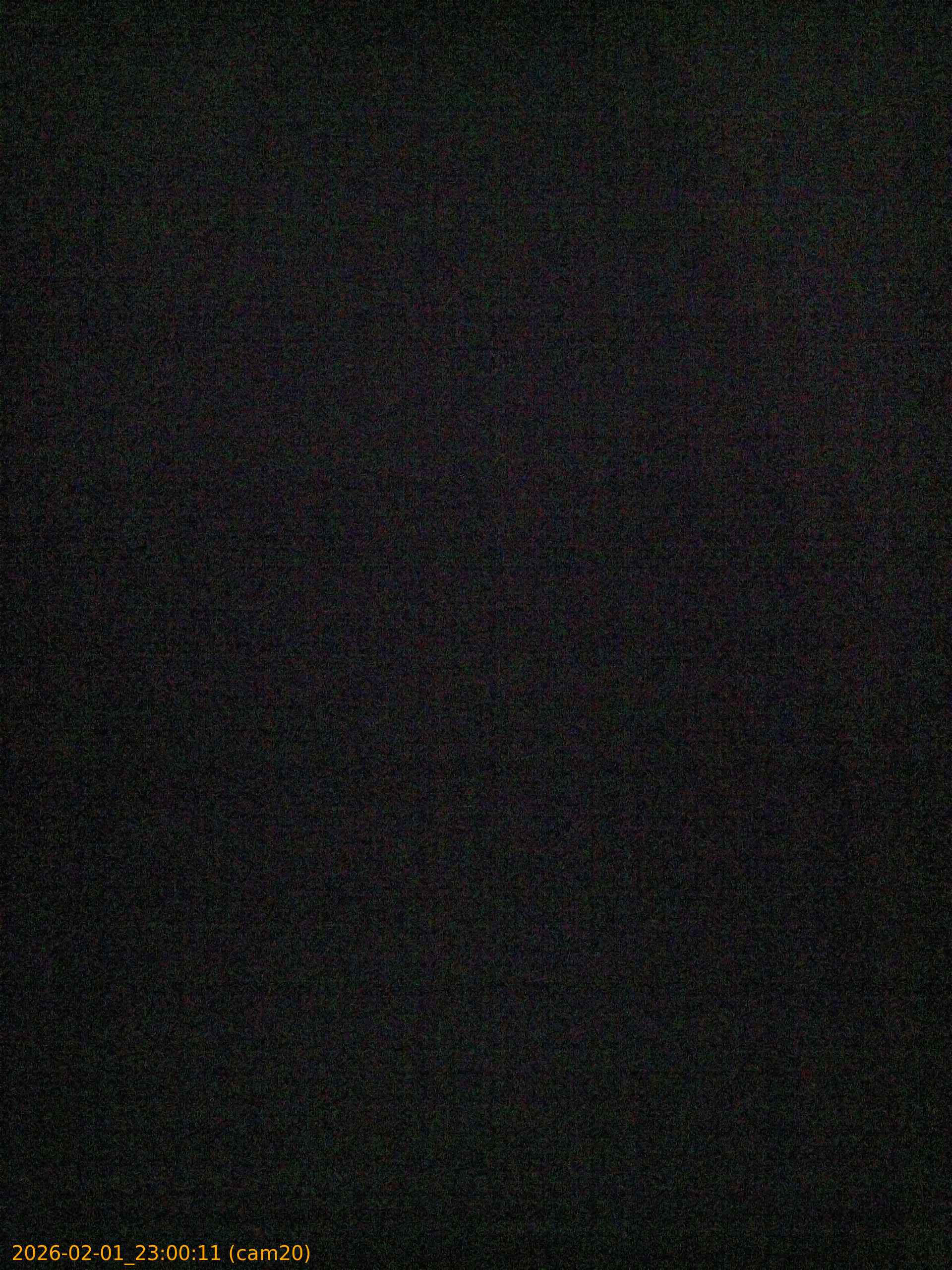 thumbnail_20260201230011