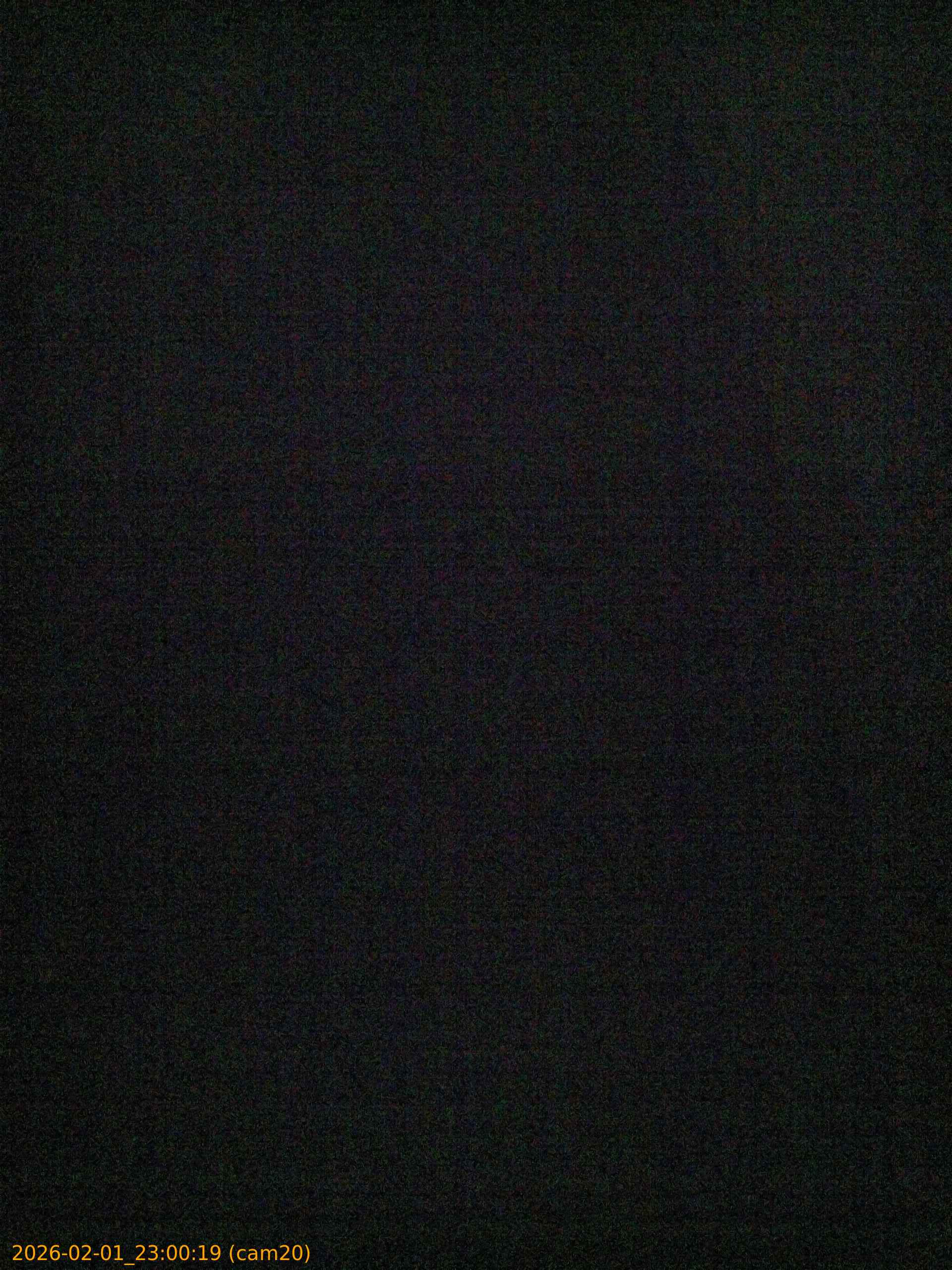 thumbnail_20260201230019