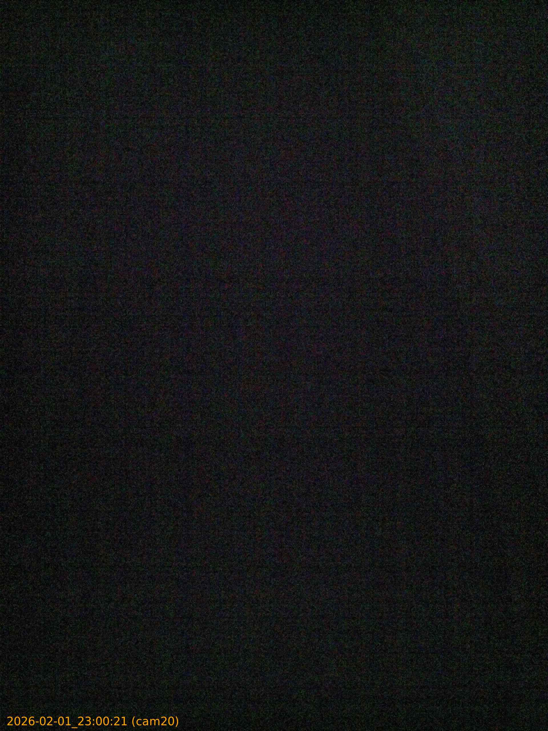 thumbnail_20260201230021