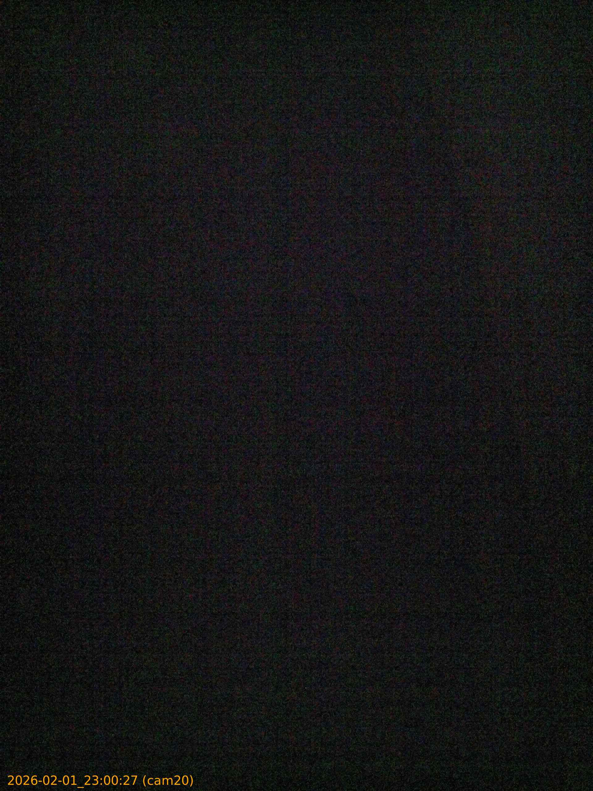 thumbnail_20260201230027